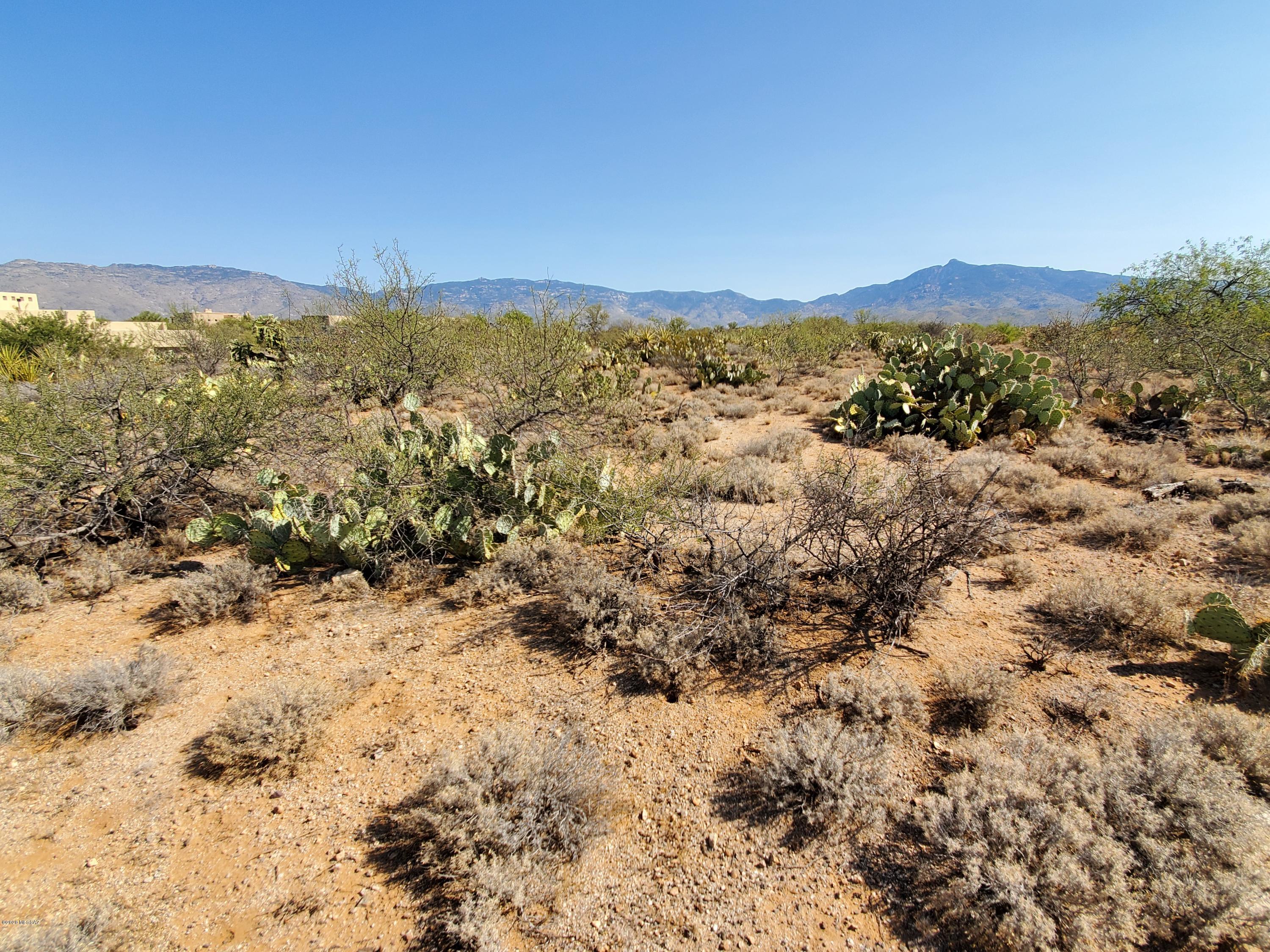Mountain Creek Ranch (1-64) - Land