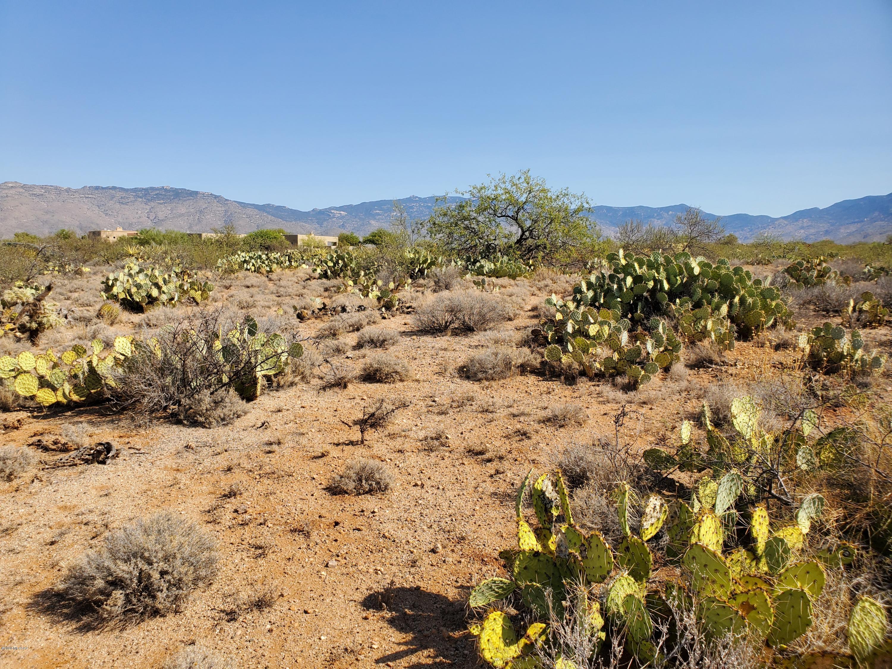 Mountain Creek Ranch (1-64) - Land