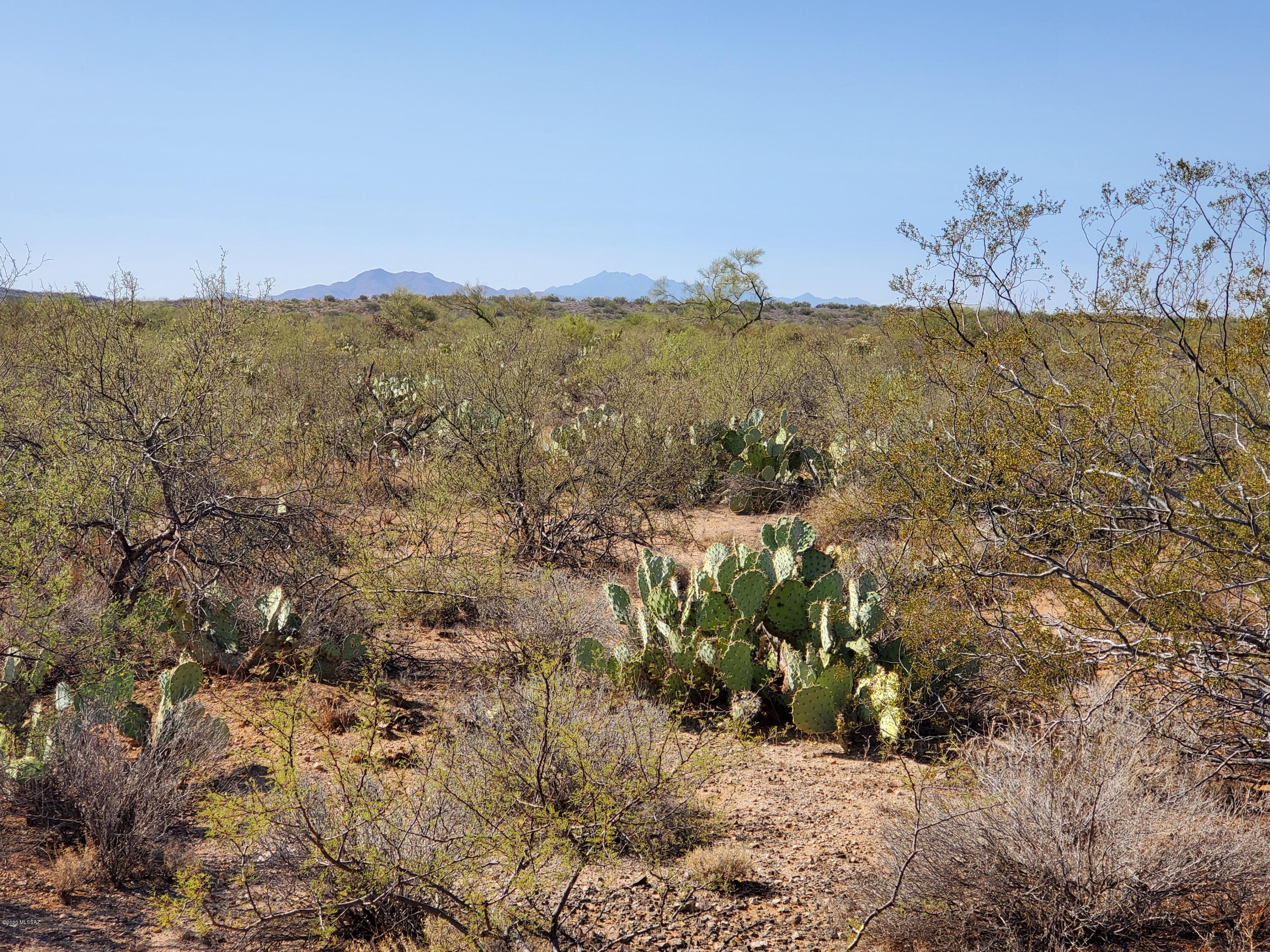 Mountain Creek Ranch (1-64) - Land