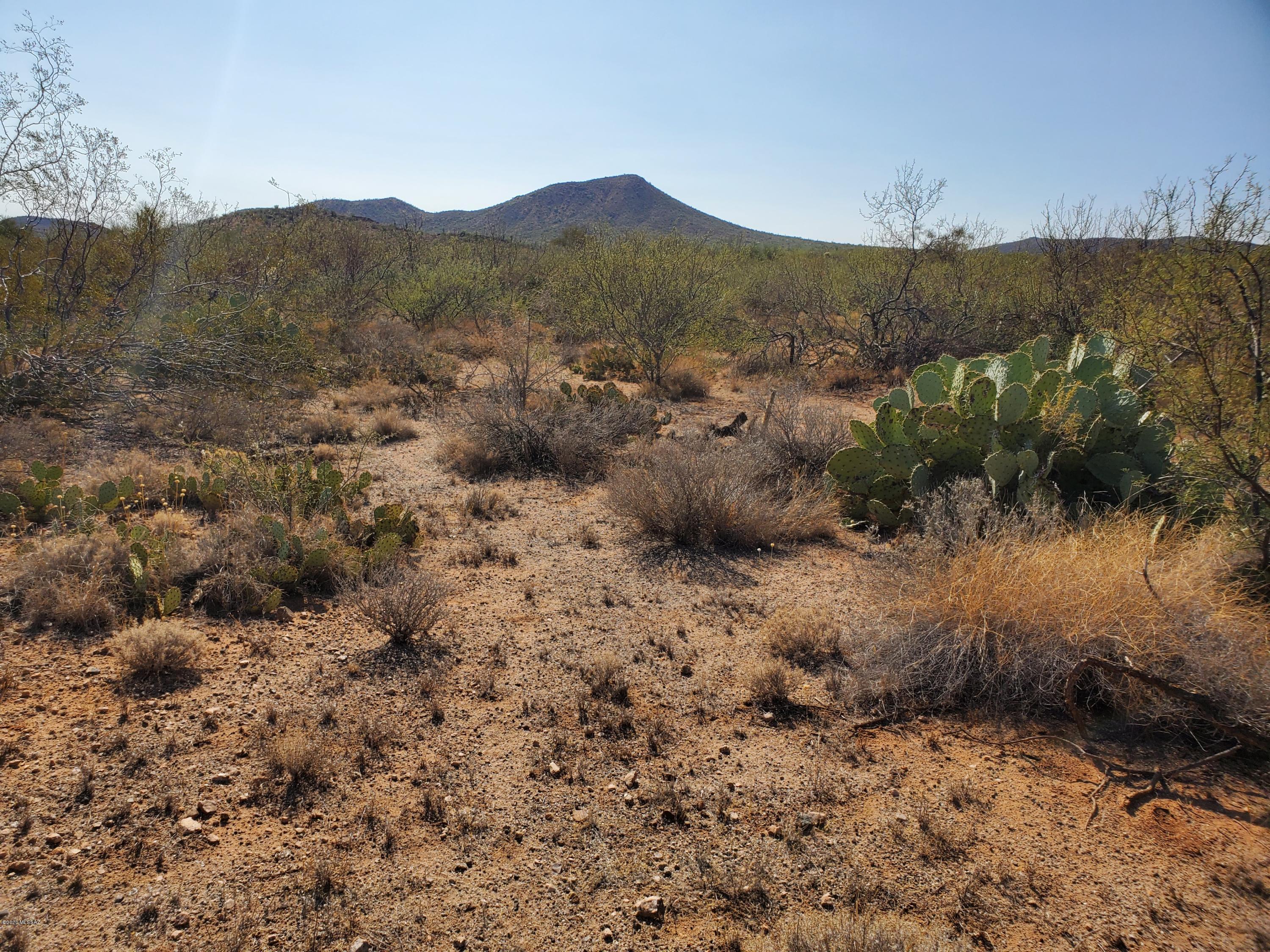 Mountain Creek Ranch (1-64) - Land