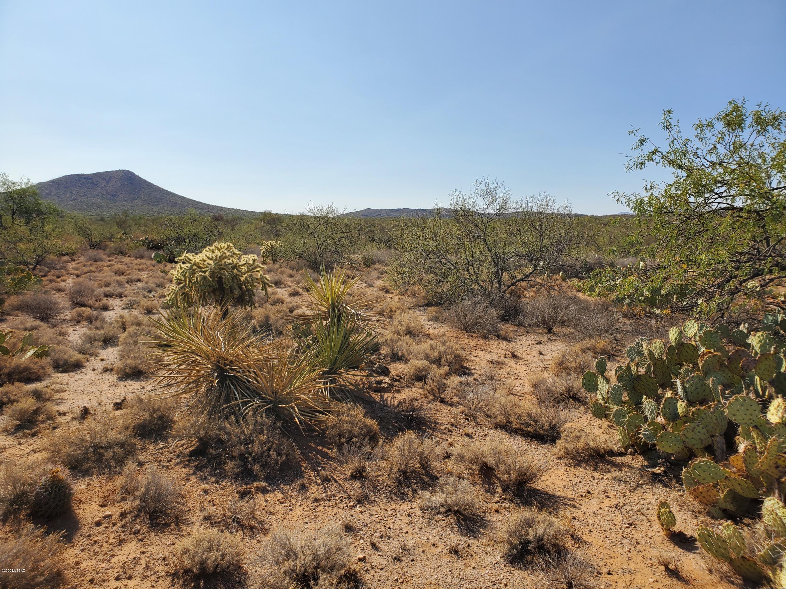 Mountain Creek Ranch (1-64) - Land