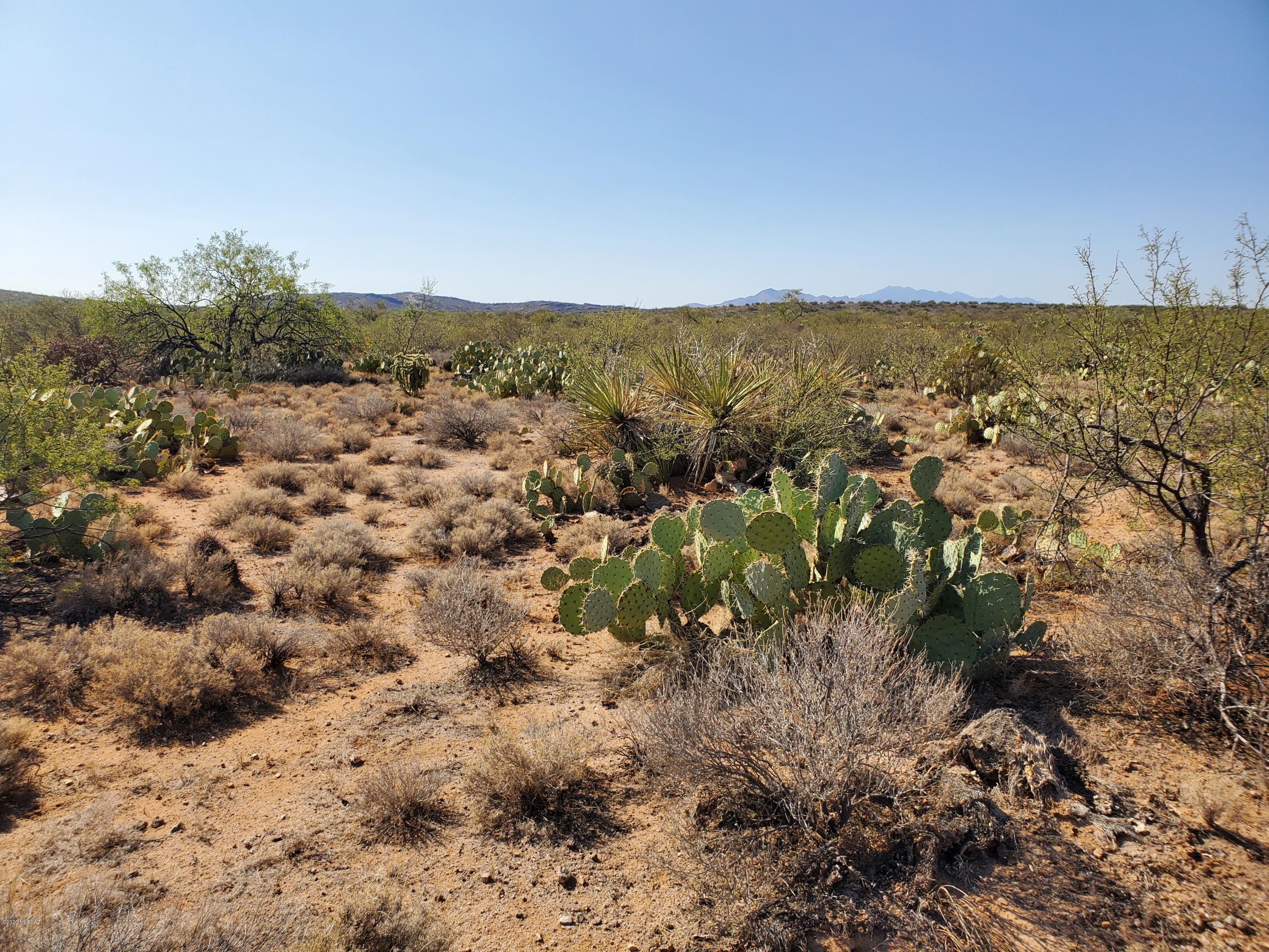 Mountain Creek Ranch (1-64) - Land
