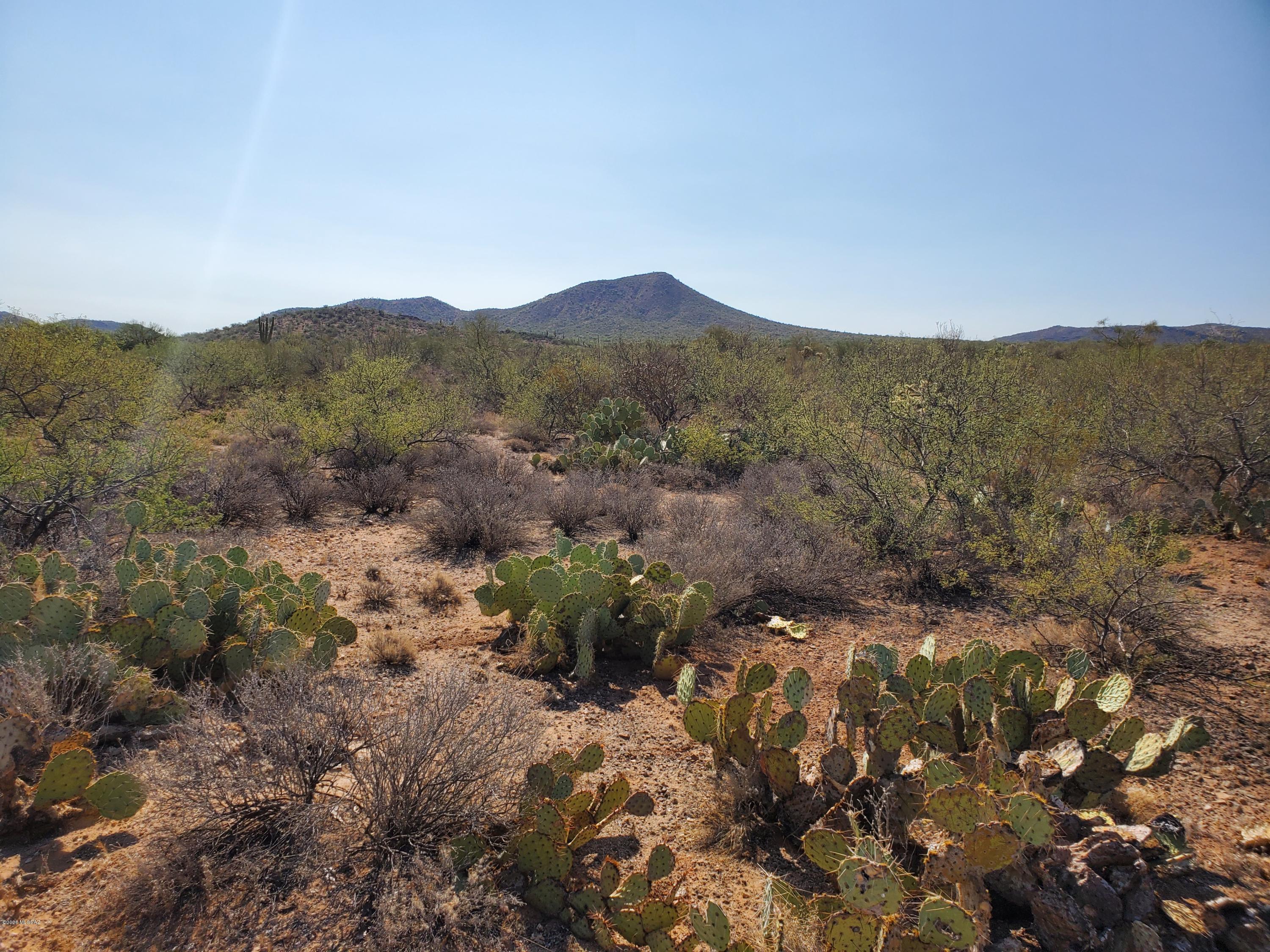 Mountain Creek Ranch (1-64) - Land