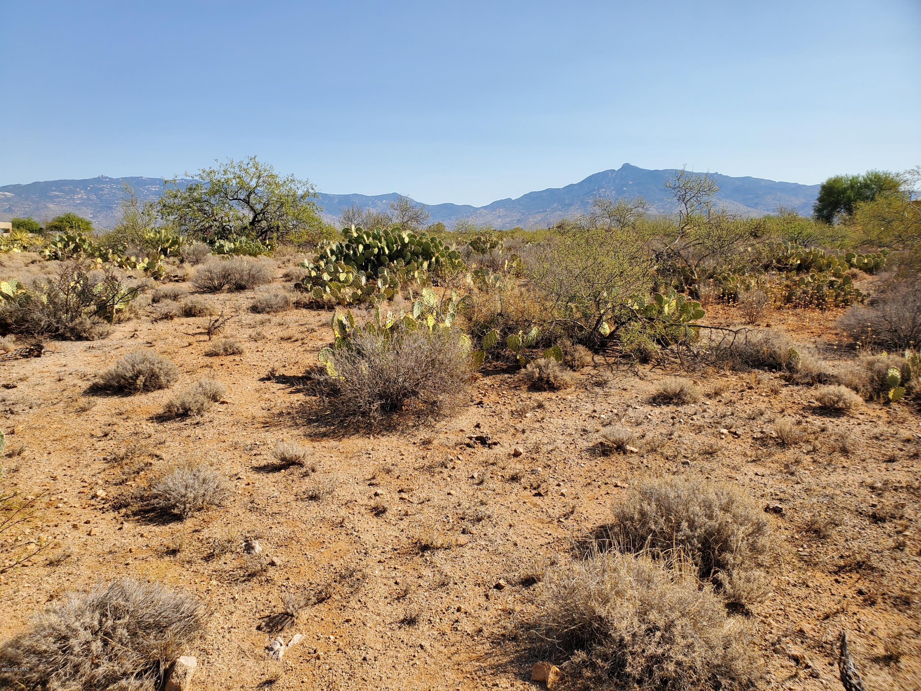 Mountain Creek Ranch (1-64) - Land