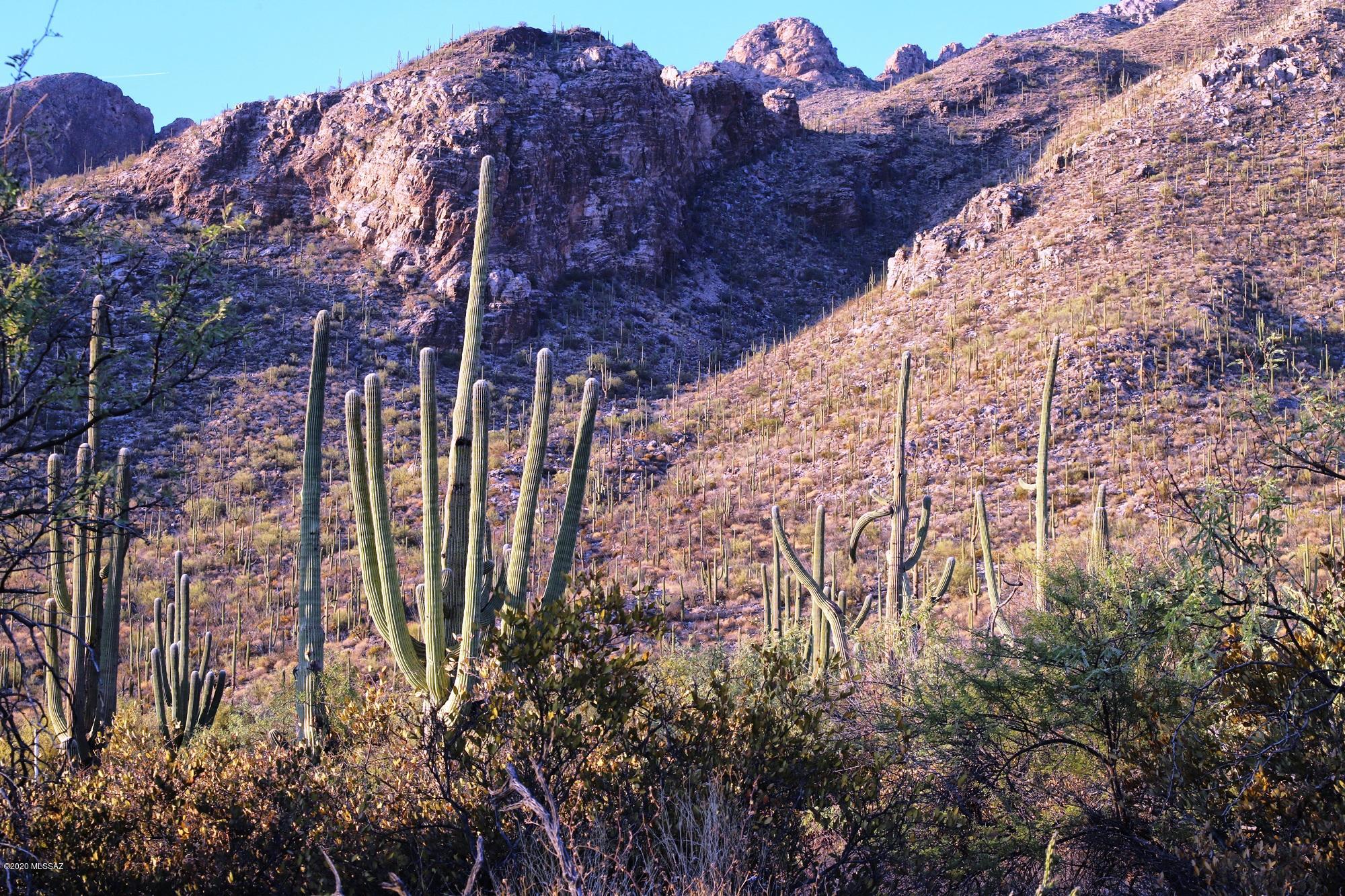 Pima Canyon Estates (30,33,96-102,115,124-127,136-139,147-151,16) - Land