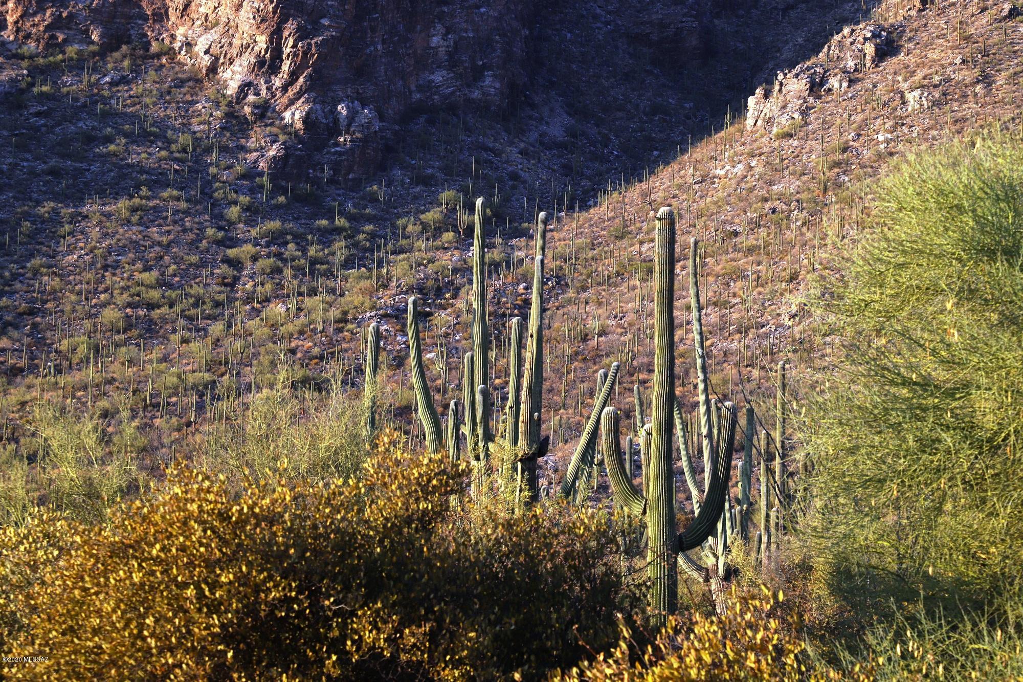 Pima Canyon Estates (30,33,96-102,115,124-127,136-139,147-151,16) - Land