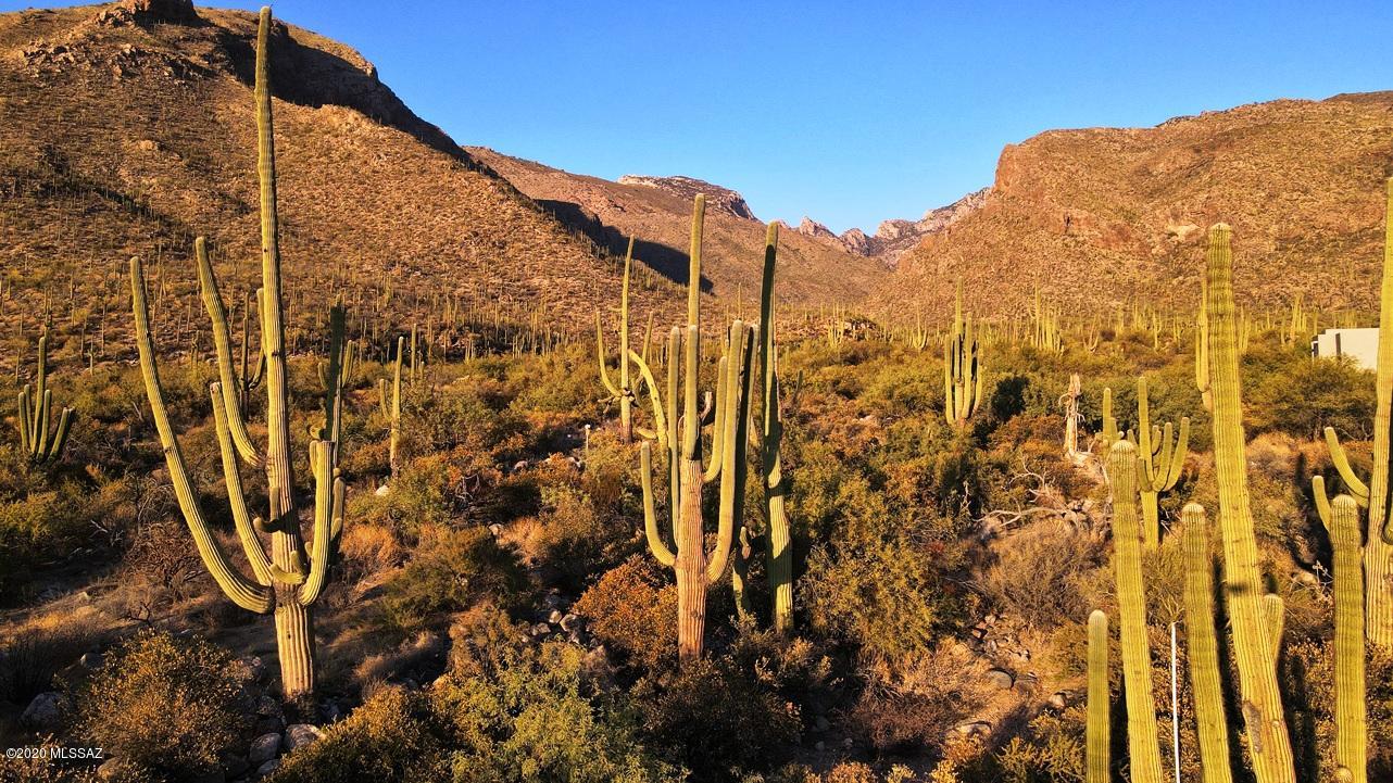 Pima Canyon Estates (30,33,96-102,115,124-127,136-139,147-151,16) - Land