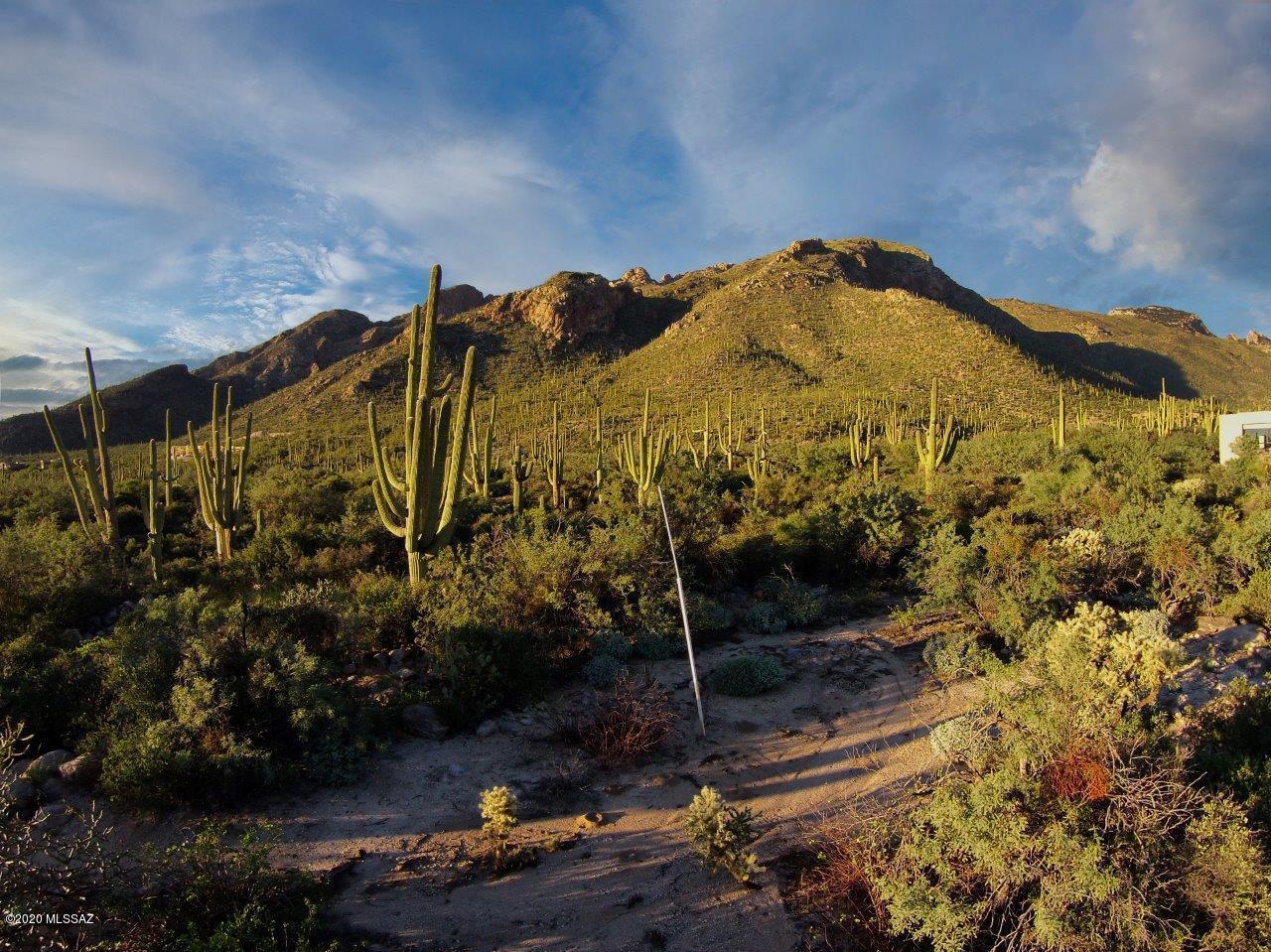 Pima Canyon Estates (30,33,96-102,115,124-127,136-139,147-151,16) - Land