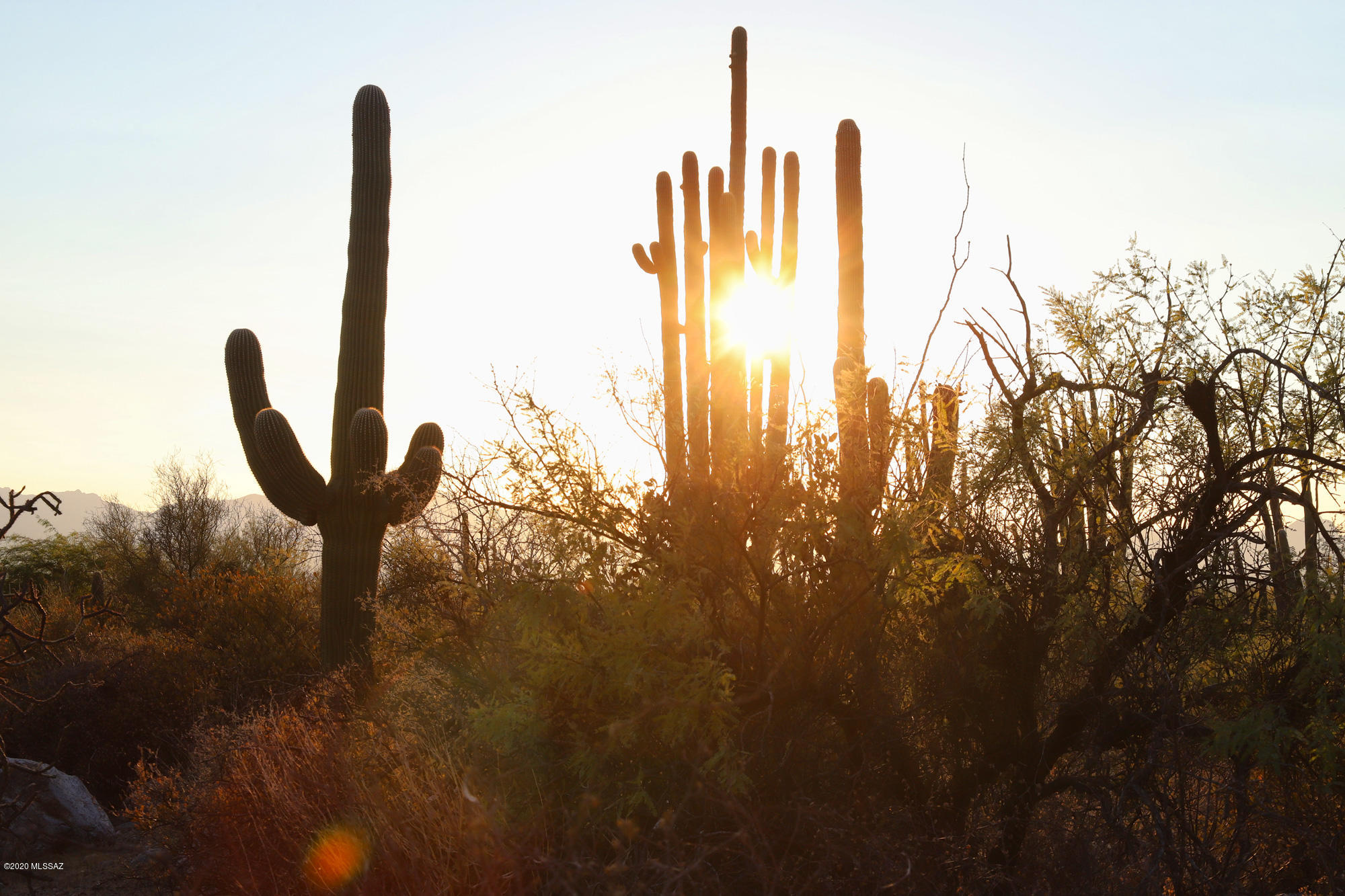 Pima Canyon Estates (30,33,96-102,115,124-127,136-139,147-151,16) - Land