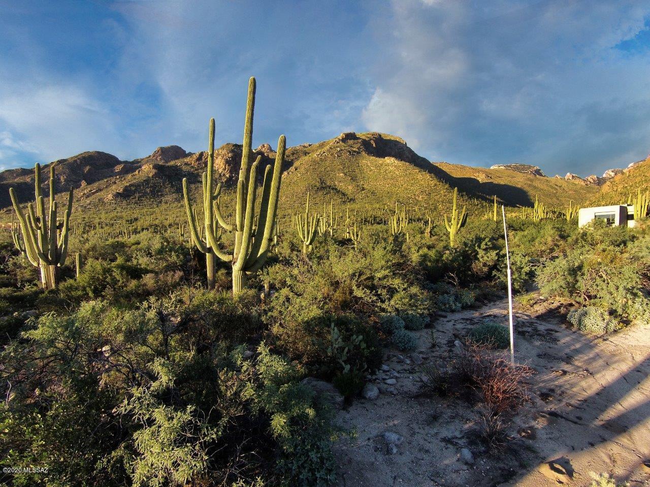 Pima Canyon Estates (30,33,96-102,115,124-127,136-139,147-151,16) - Land