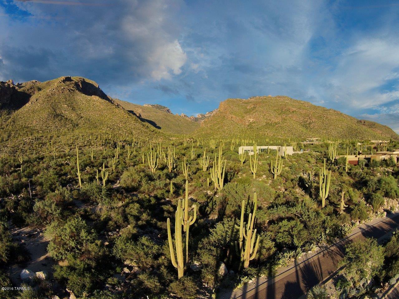 Pima Canyon Estates (30,33,96-102,115,124-127,136-139,147-151,16) - Land