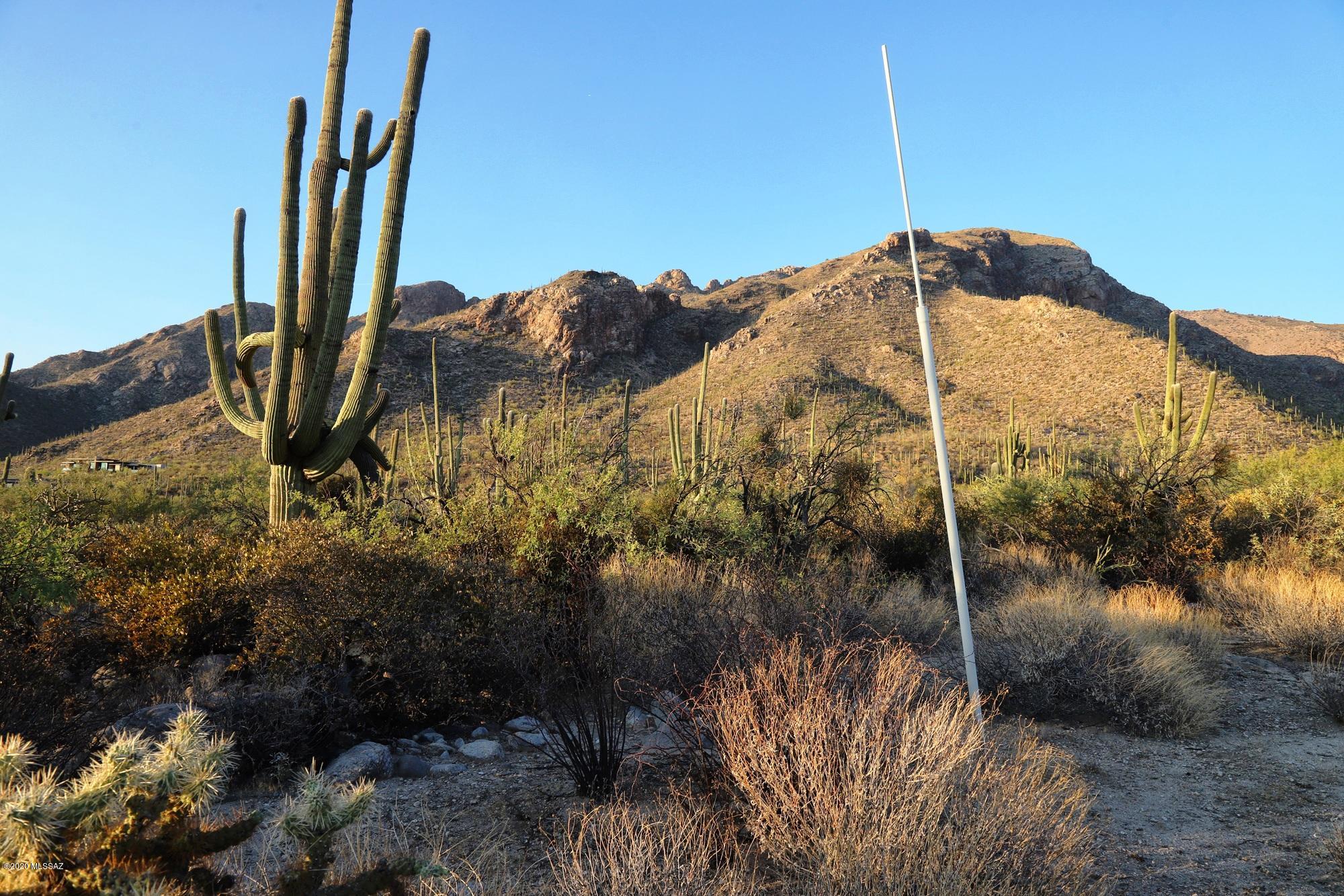 Pima Canyon Estates (30,33,96-102,115,124-127,136-139,147-151,16) - Land