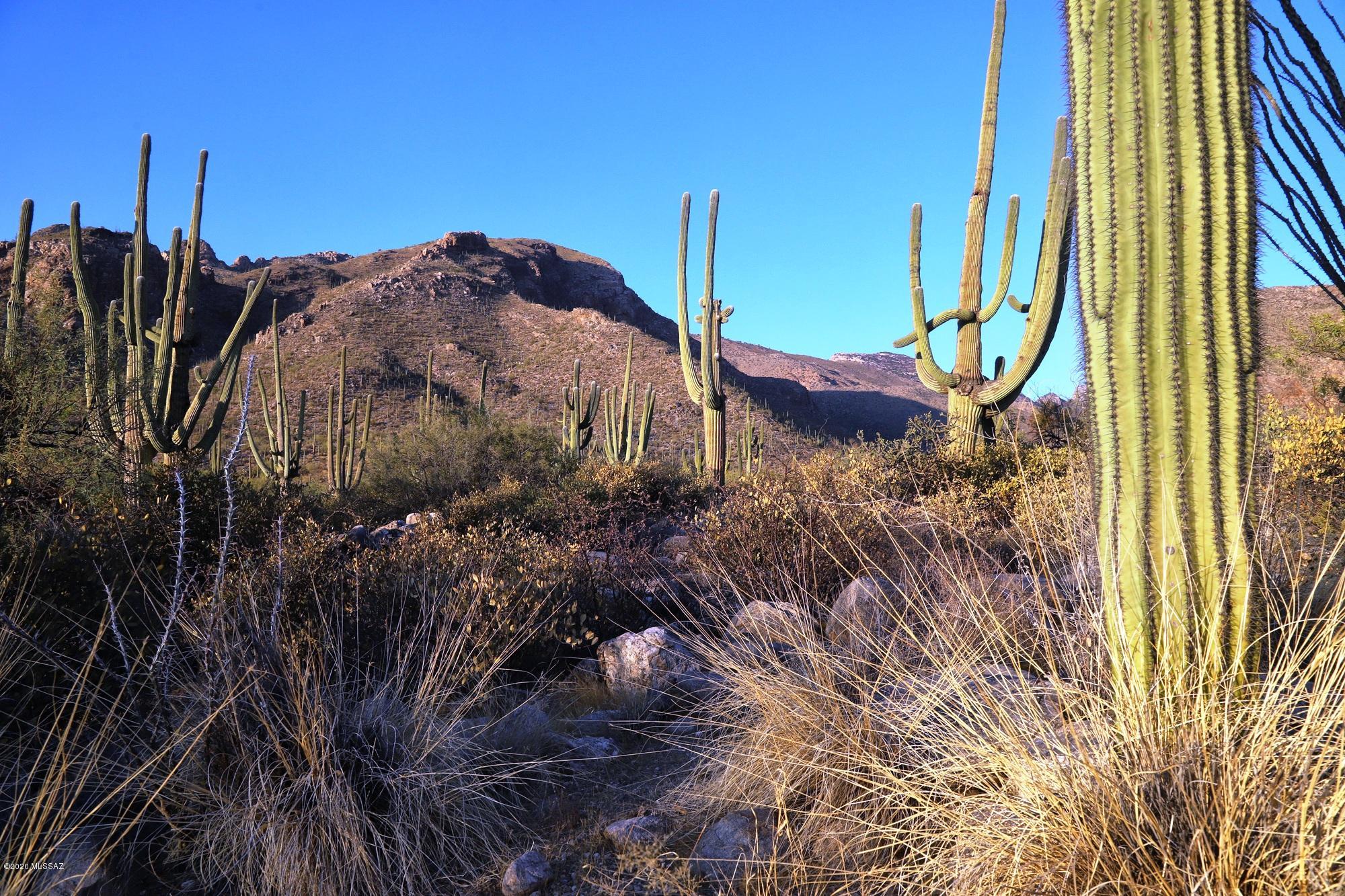 Pima Canyon Estates (30,33,96-102,115,124-127,136-139,147-151,16) - Land