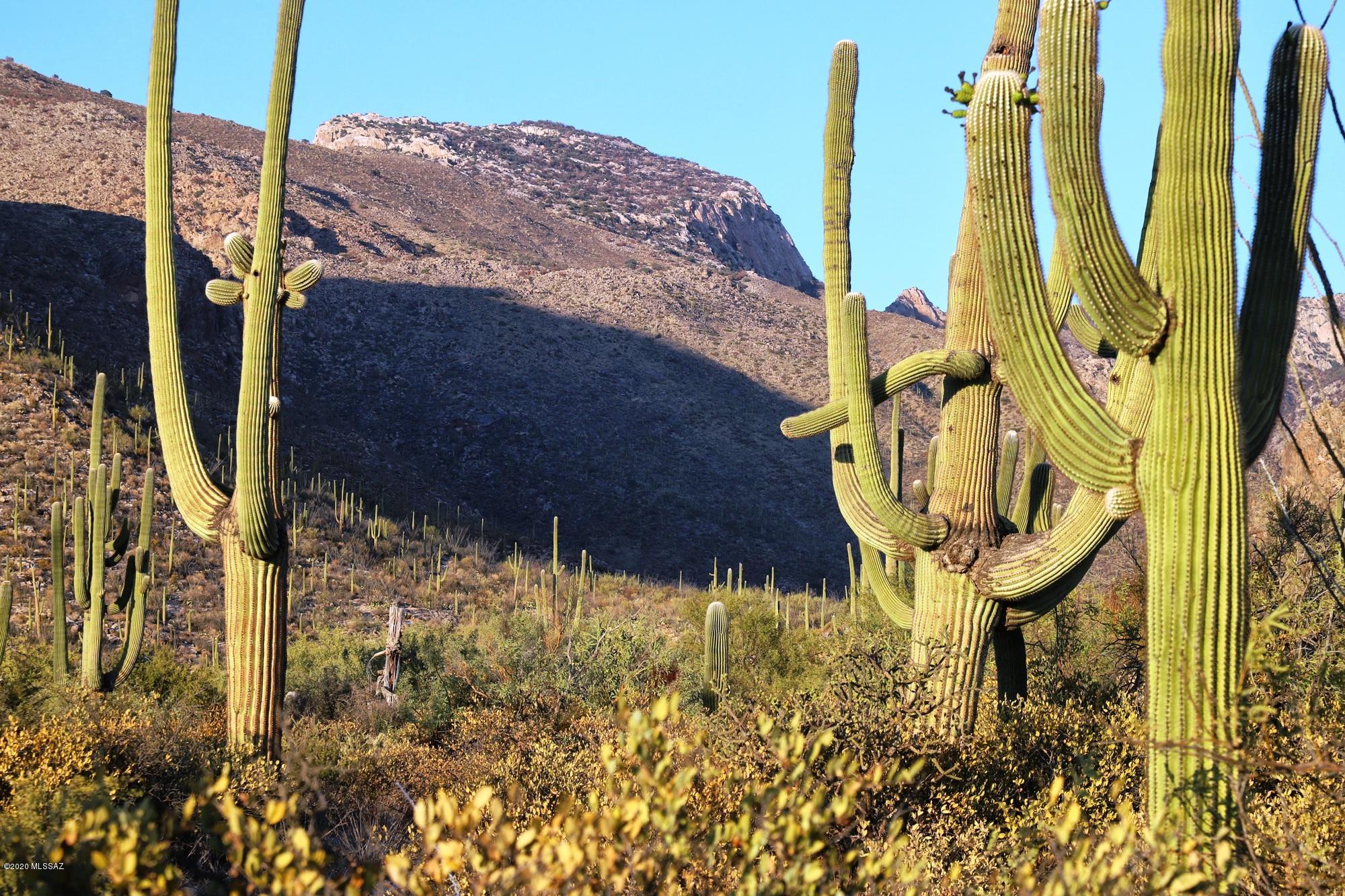 Pima Canyon Estates (30,33,96-102,115,124-127,136-139,147-151,16) - Land