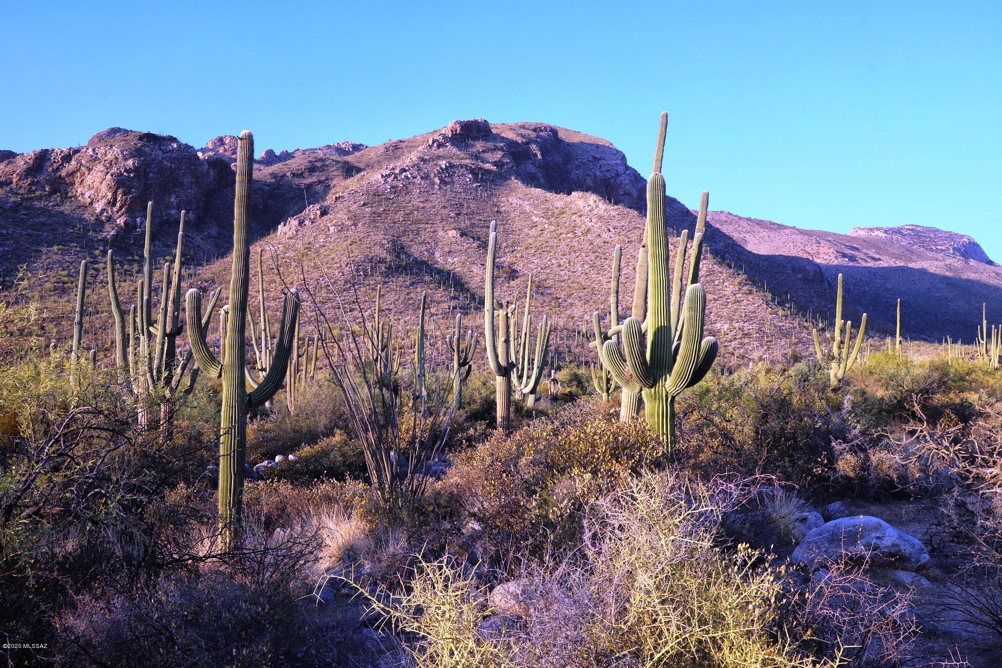 Pima Canyon Estates (30,33,96-102,115,124-127,136-139,147-151,16) - Land