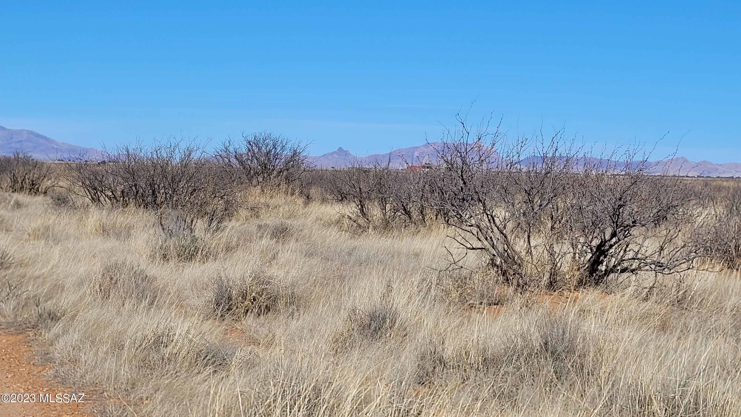 Out Of Pima County - Land