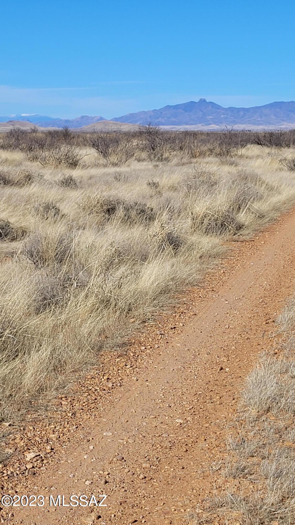 Out Of Pima County - Land