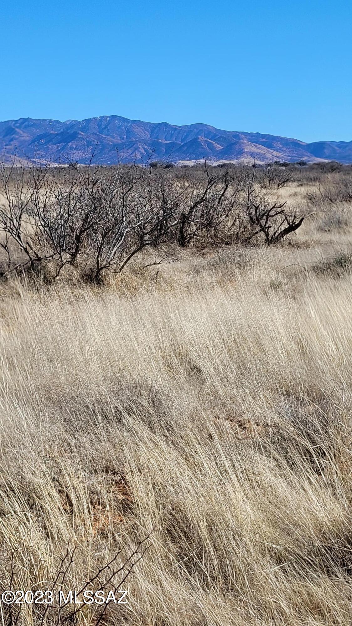 Out Of Pima County - Land