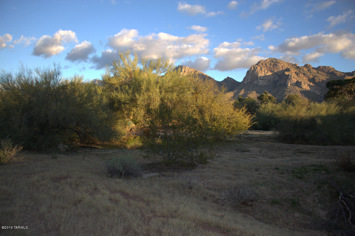 3RD Fairway at Oro Valley Country Club - Land