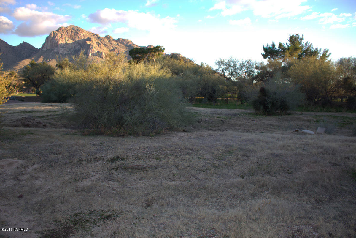3RD Fairway at Oro Valley Country Club - Land