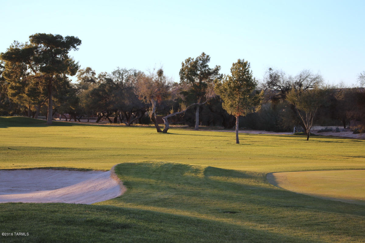 3RD Fairway at Oro Valley Country Club - Land