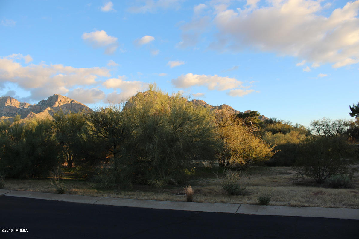 3RD Fairway at Oro Valley Country Club - Land