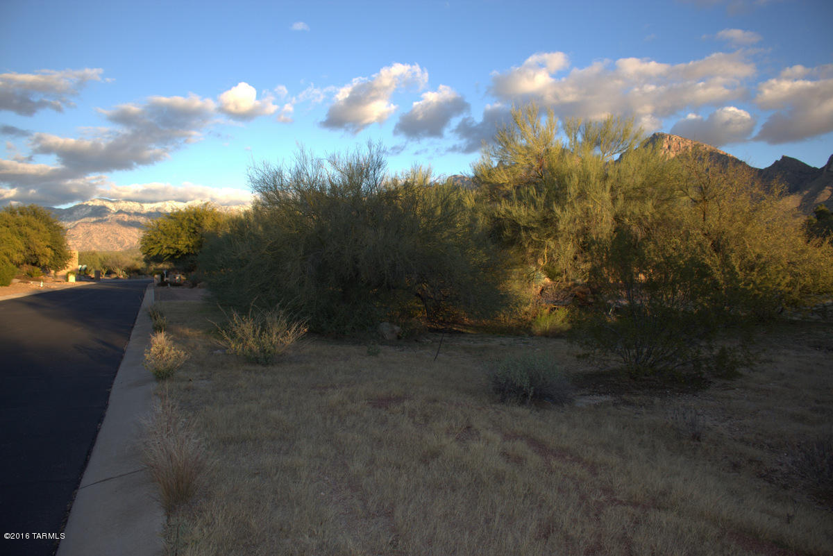 3RD Fairway at Oro Valley Country Club - Land