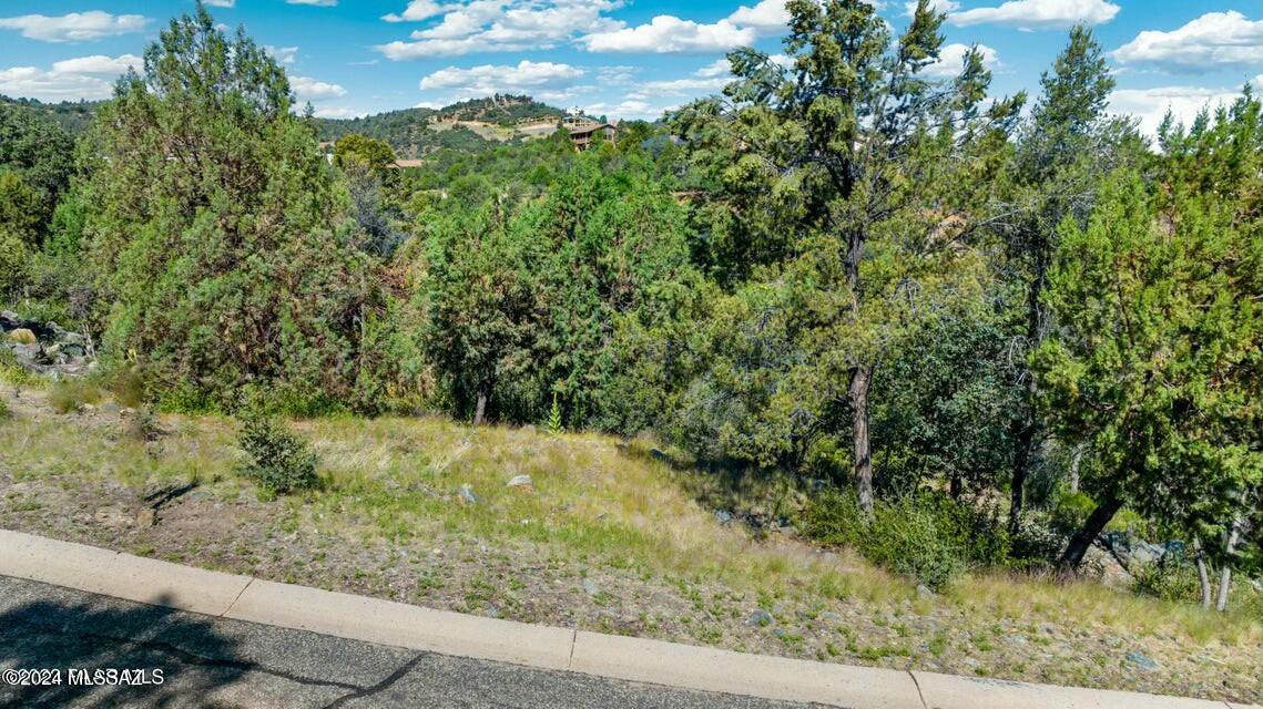 Welcome to Fox Hollow this exceptional 0.33-acre lot nestled at the end of a peaceful cul-de-sac, offering breathtaking views of Prescott's iconic landscapes, beautiful mountains and natural scenery. Surrounded by lush, mature trees and vibrant plant life this property provides the perfect canvas for your dream home in one of the area's most desirable locations.

Enjoy the tranquility and privacy that only a cul-de-sac setting can offer, while being just minutes from all the amenities Prescott has to offer, including shops, dining and outdoor activities. Whether you're looking to build a peaceful retreat or a family home the serene atmosphere and spectacular views make this property an ideal choice and amazingly low price for this subdivision!