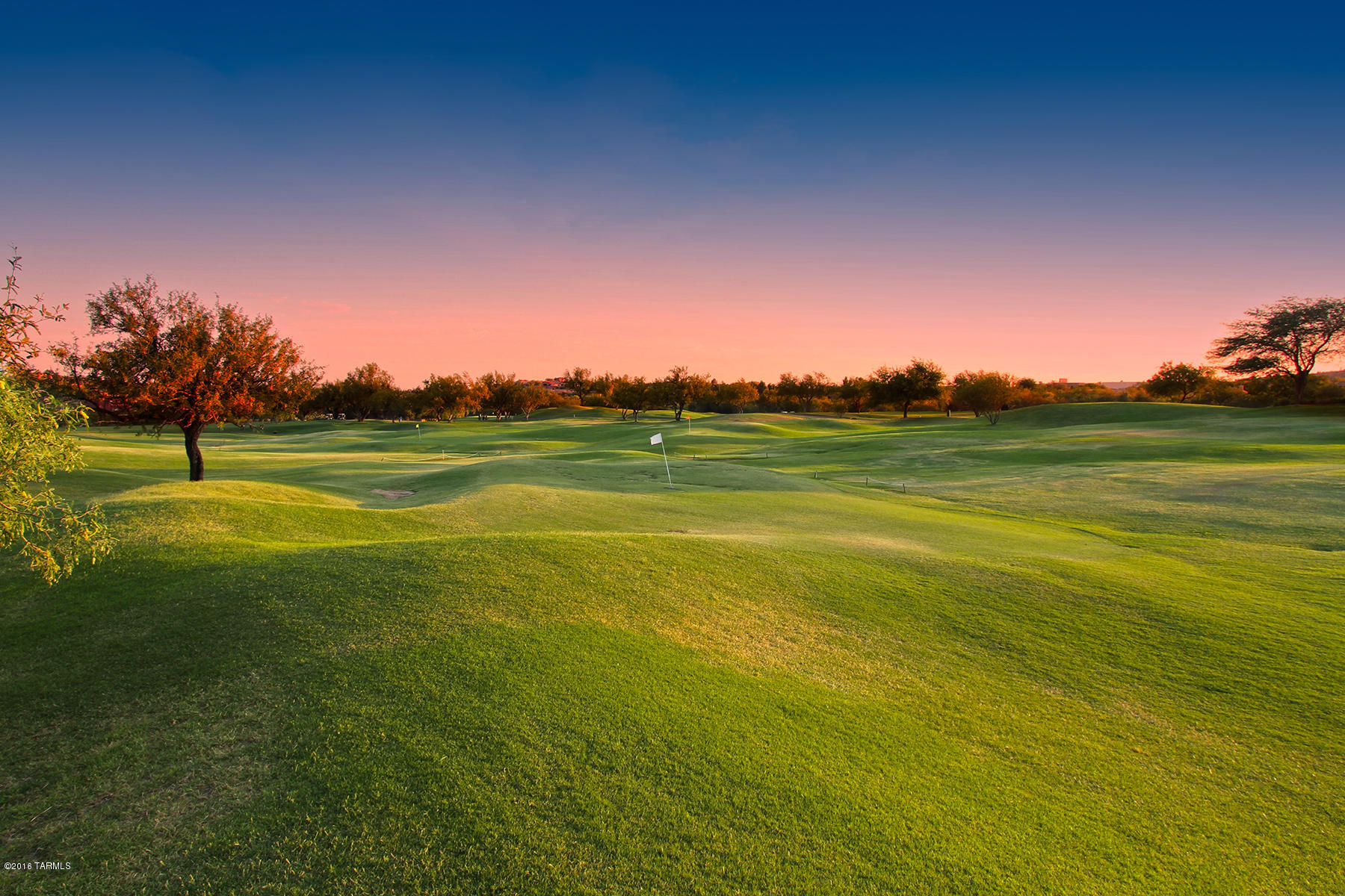 Ventana Canyon Golf Villas - Residential