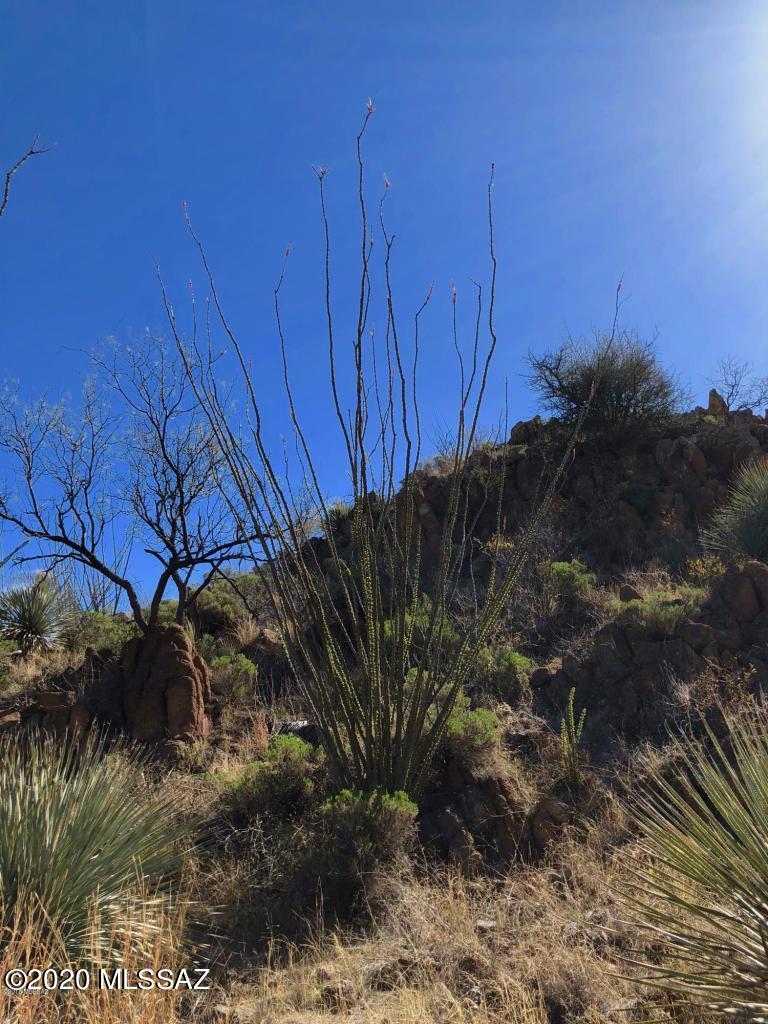 Salero Ranch - Land