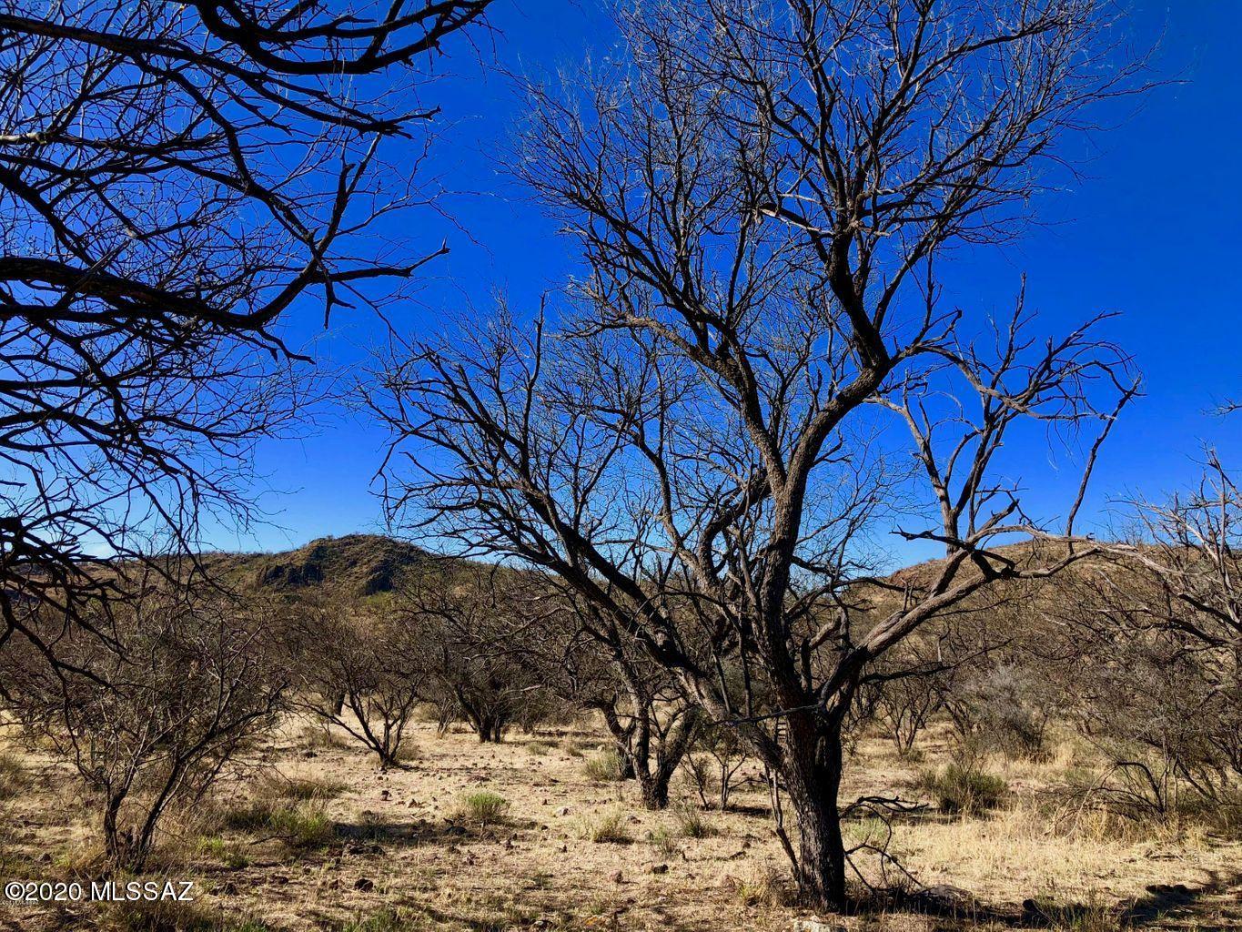 Salero Ranch - Land