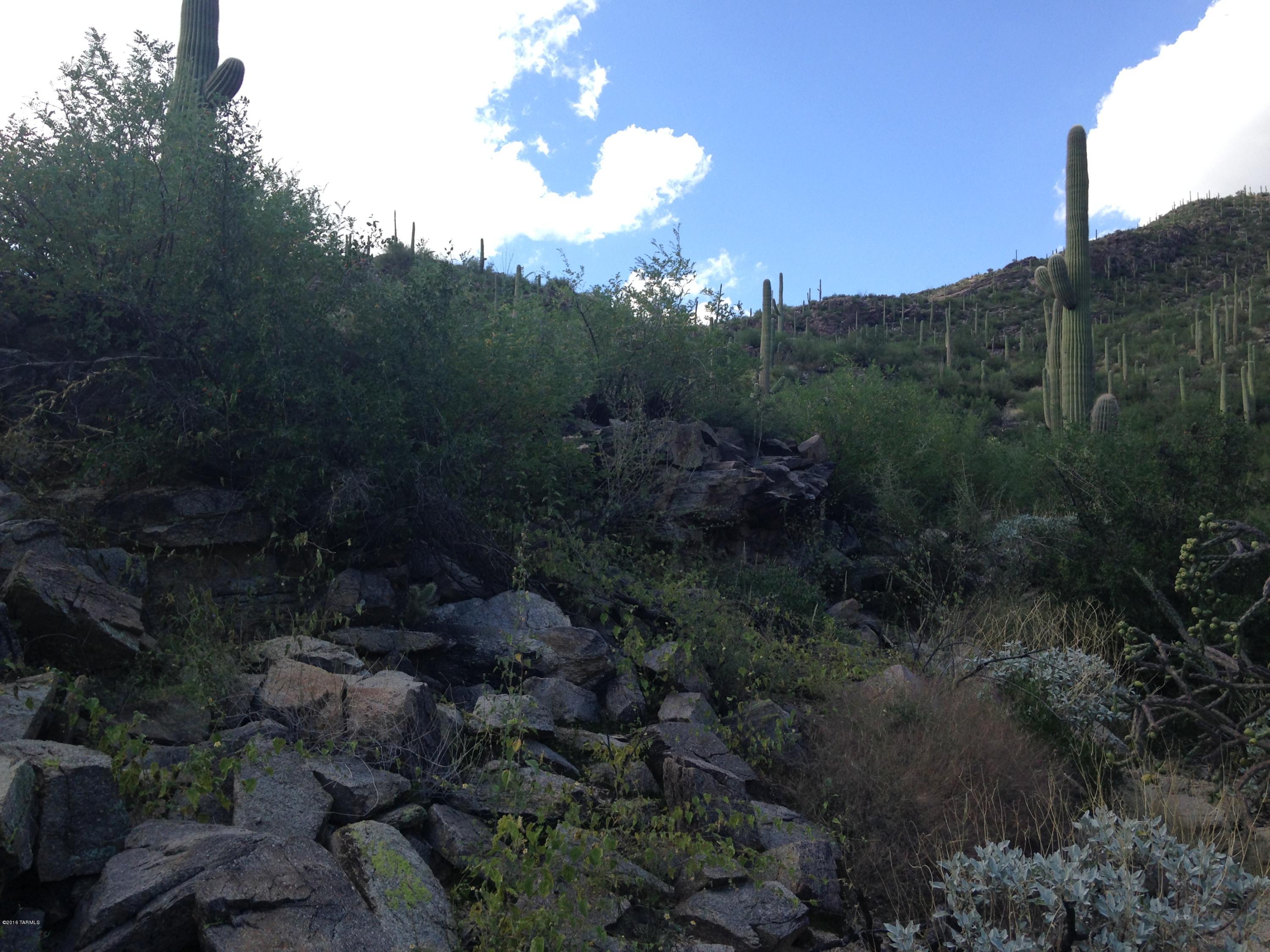Ventana Canyon Mountain Estate (1-73) - Land