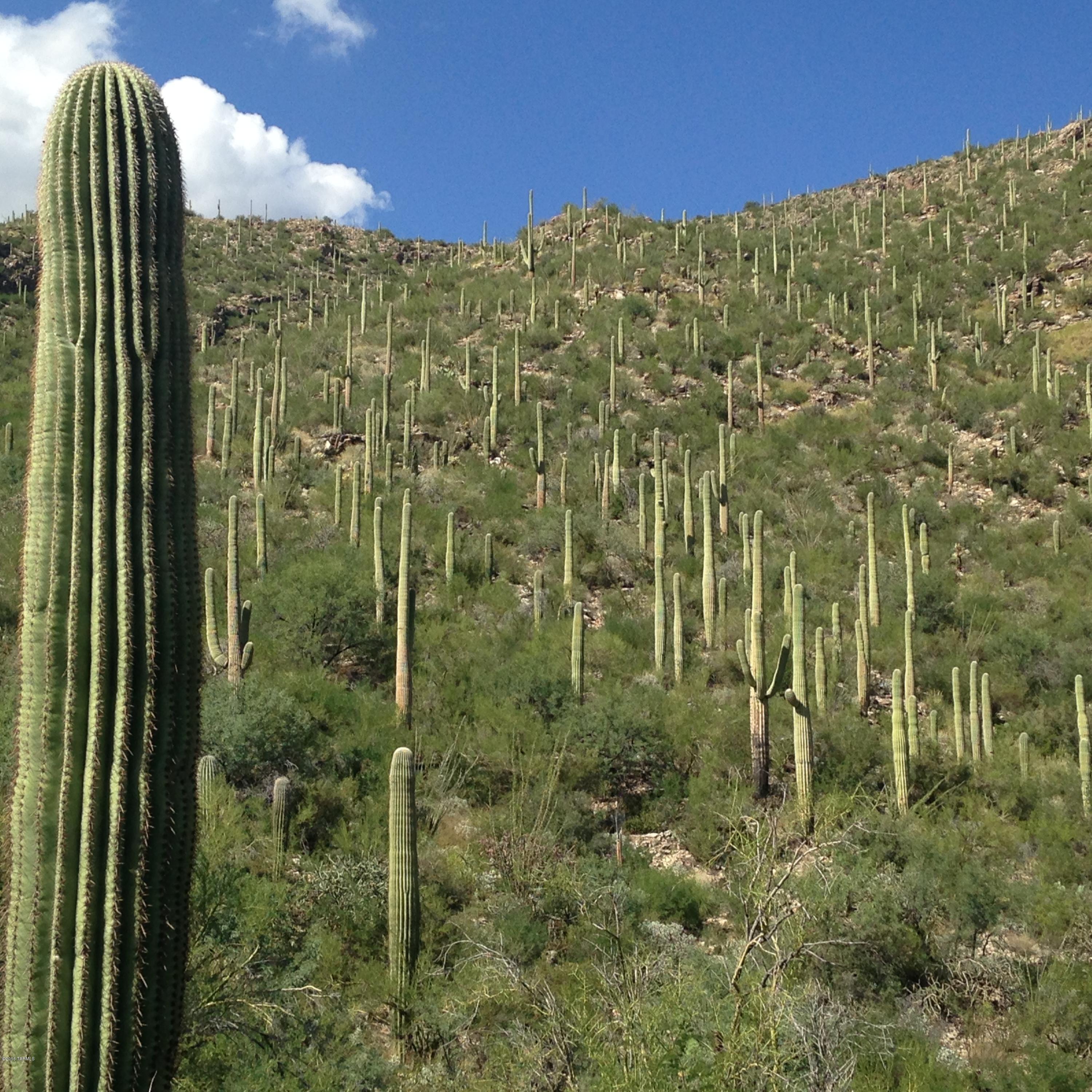 Ventana Canyon Mountain Estate (1-73) - Land