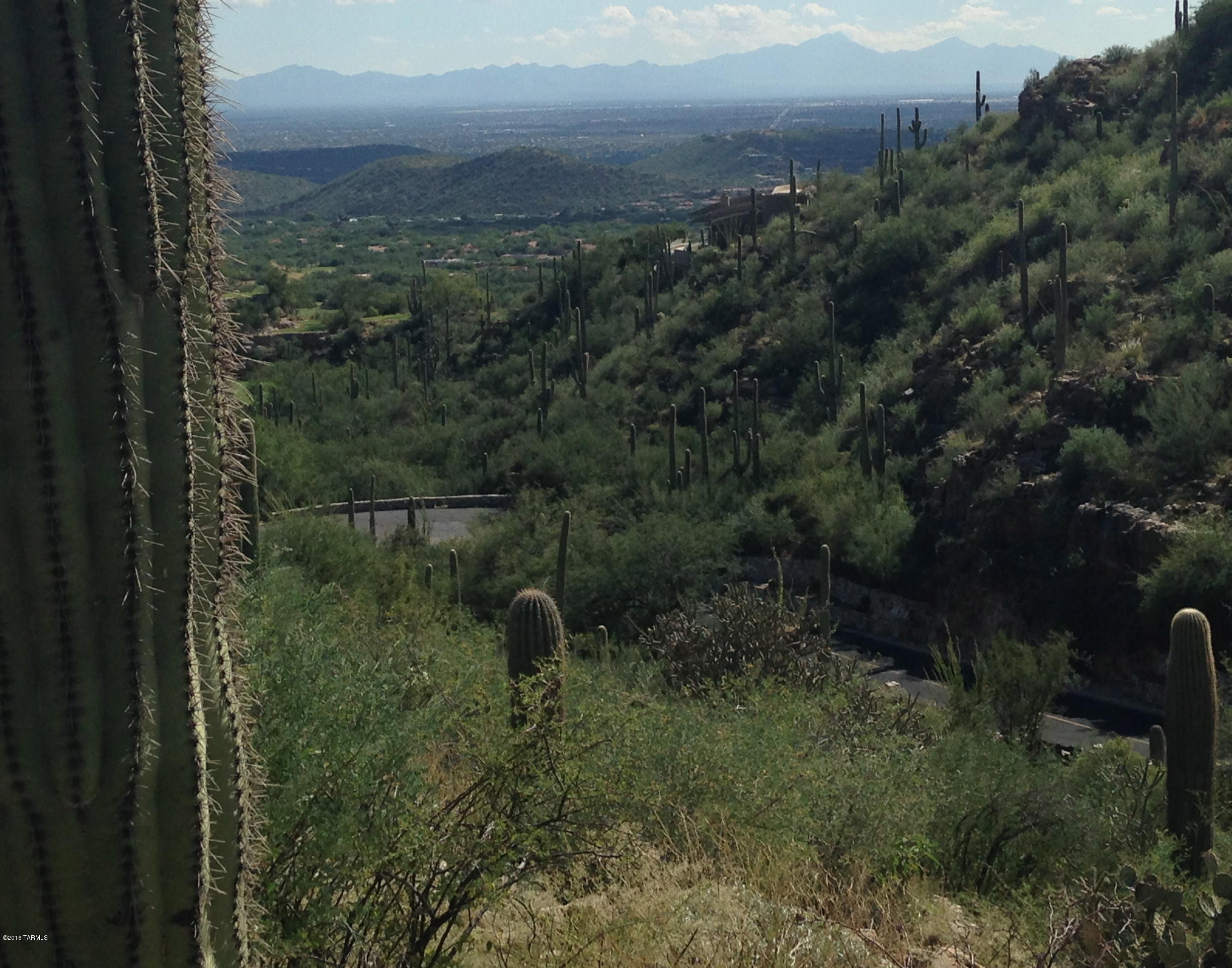 Ventana Canyon Mountain Estate (1-73) - Land