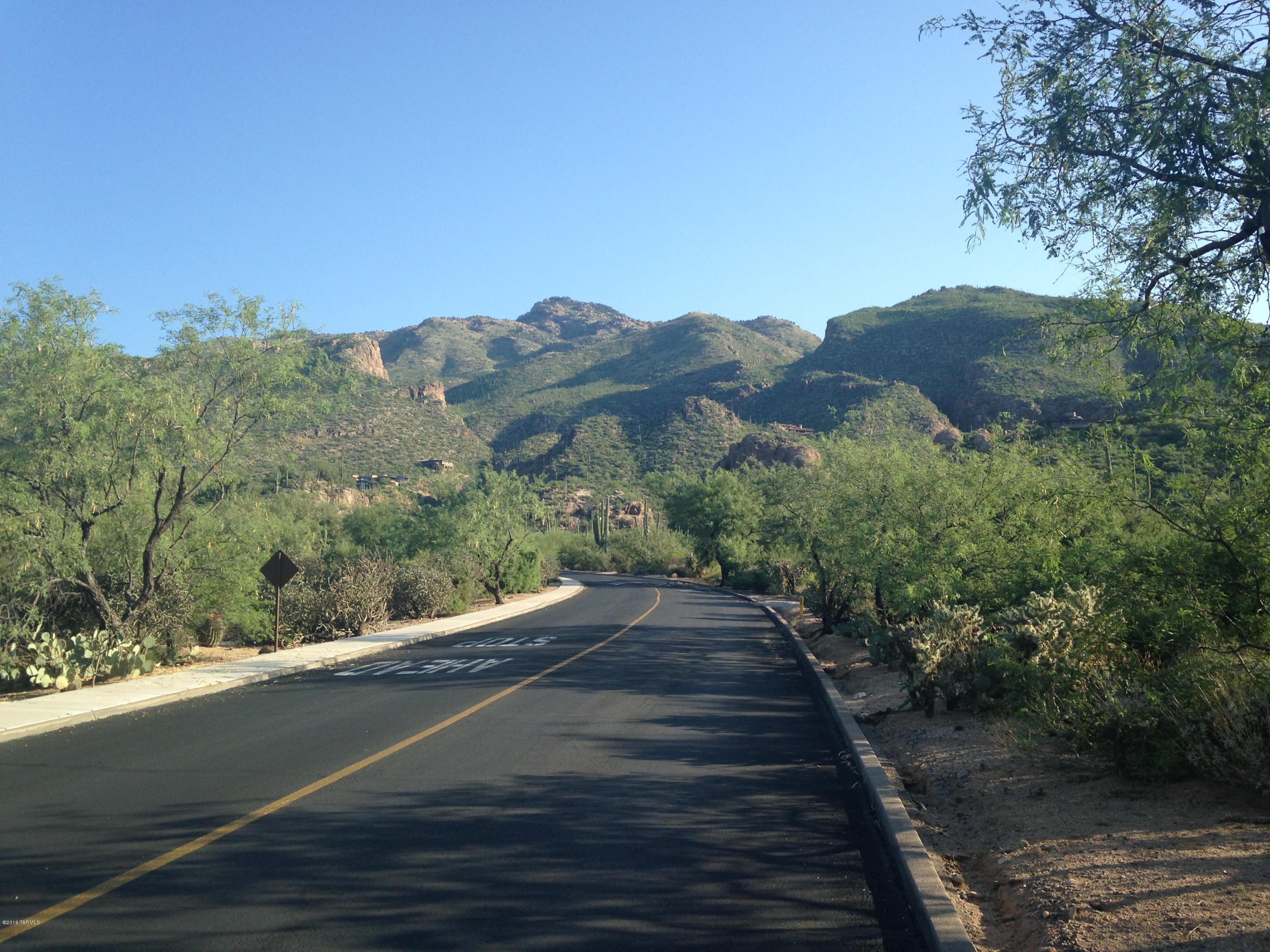 Ventana Canyon Mountain Estate (1-73) - Land