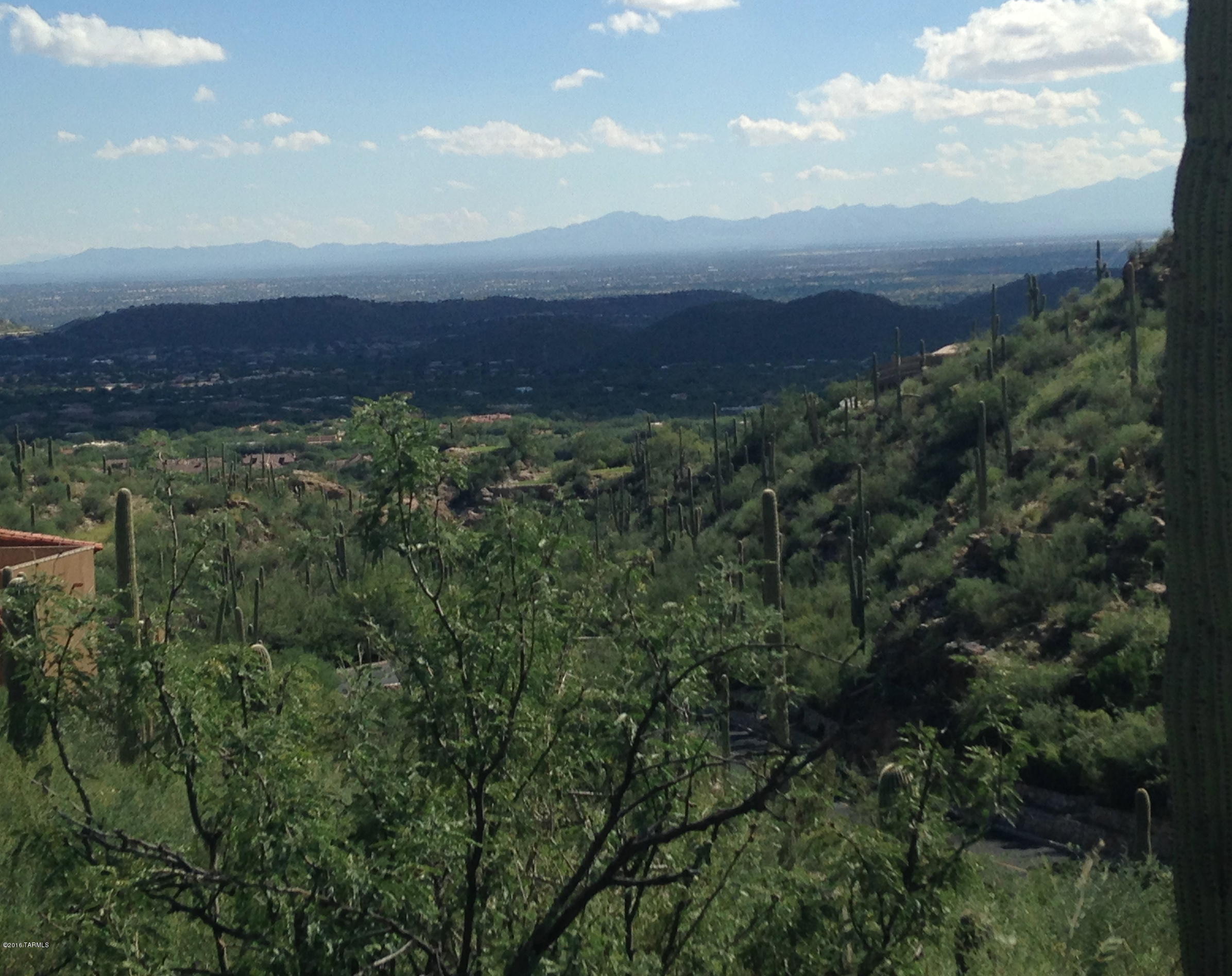 Ventana Canyon Mountain Estate (1-73) - Land