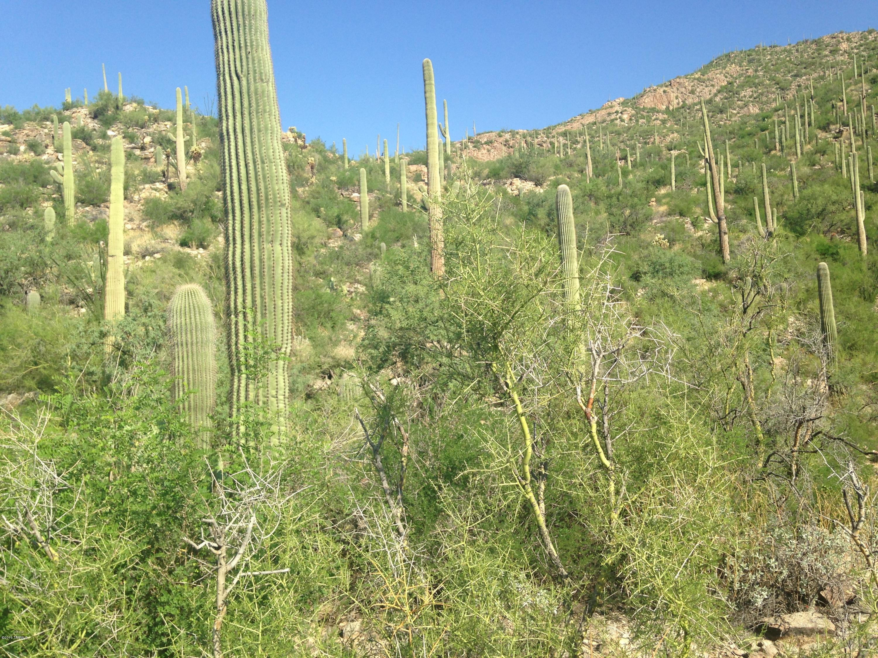 Ventana Canyon Mountain Estate (1-73) - Land