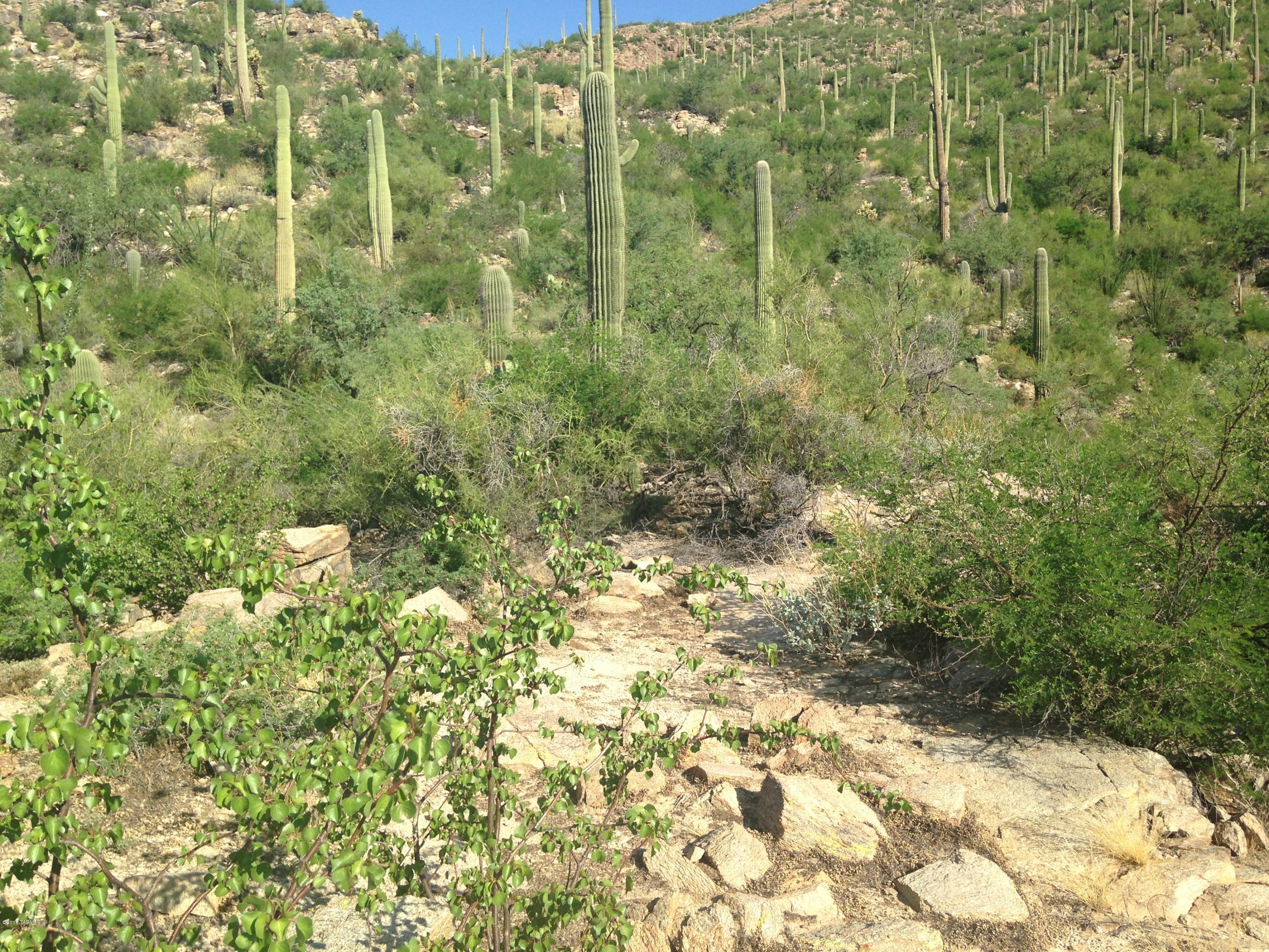 Ventana Canyon Mountain Estate (1-73) - Land