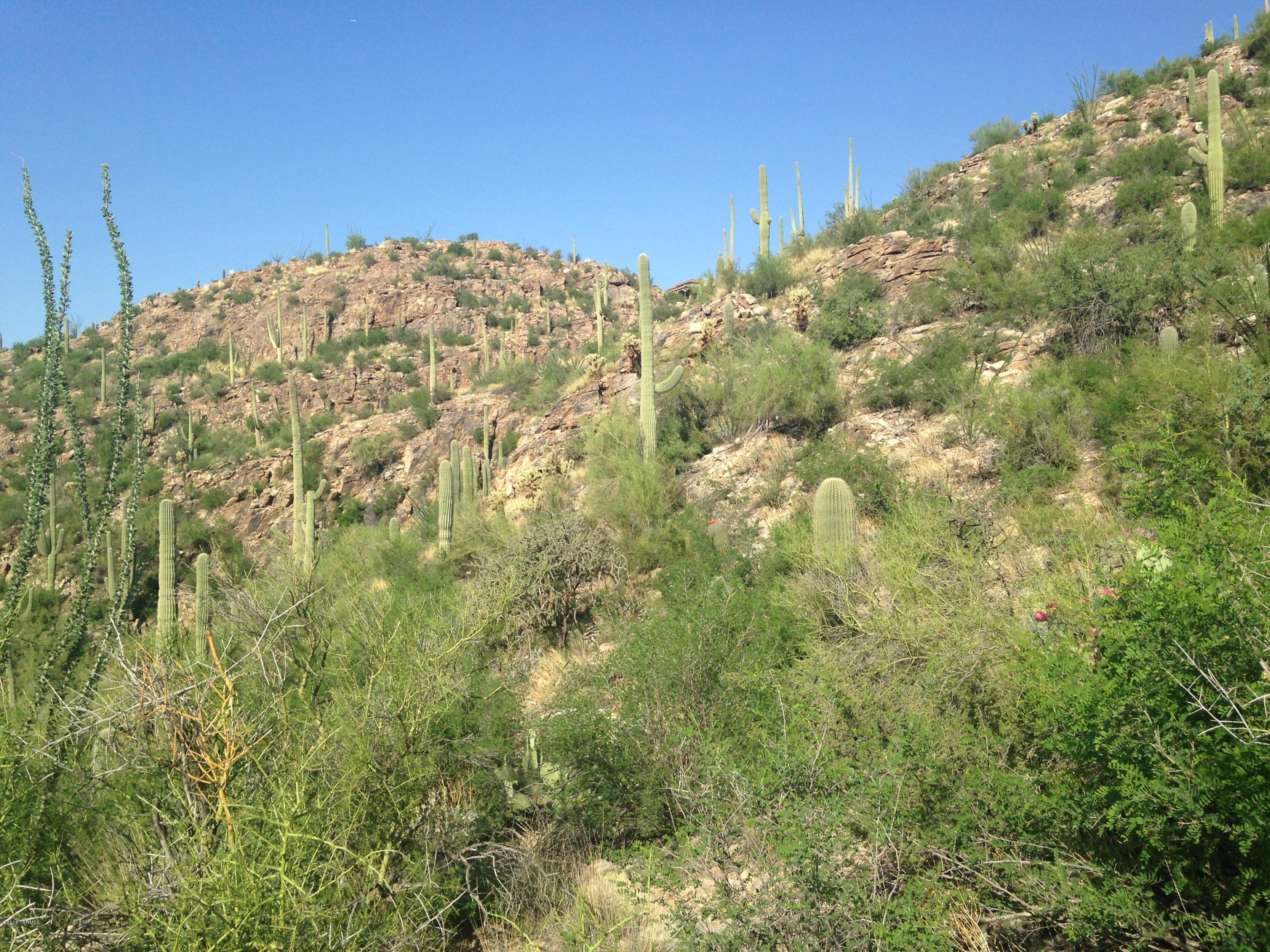 Ventana Canyon Mountain Estate (1-73) - Land