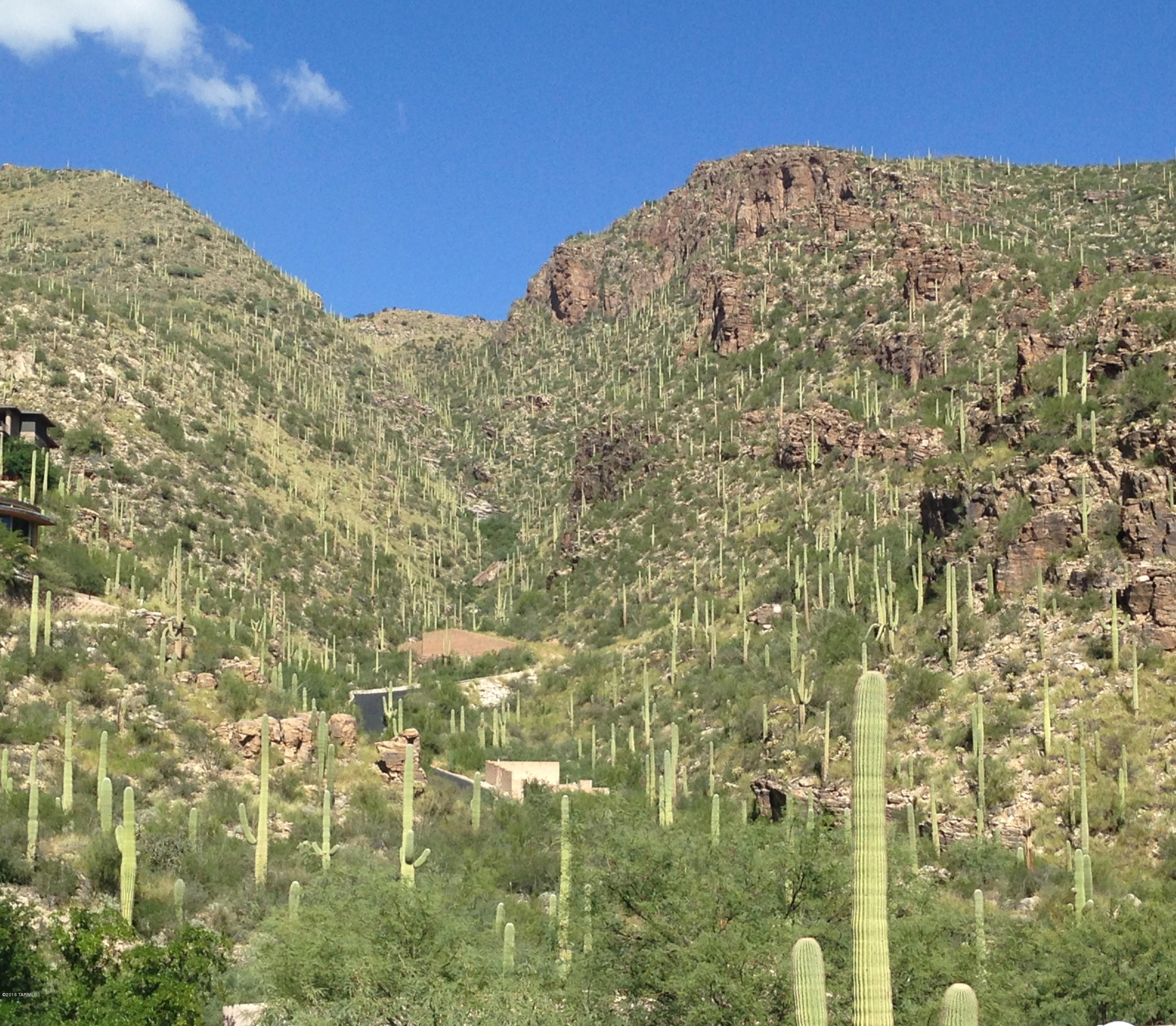 Ventana Canyon Mountain Estate (1-73) - Land