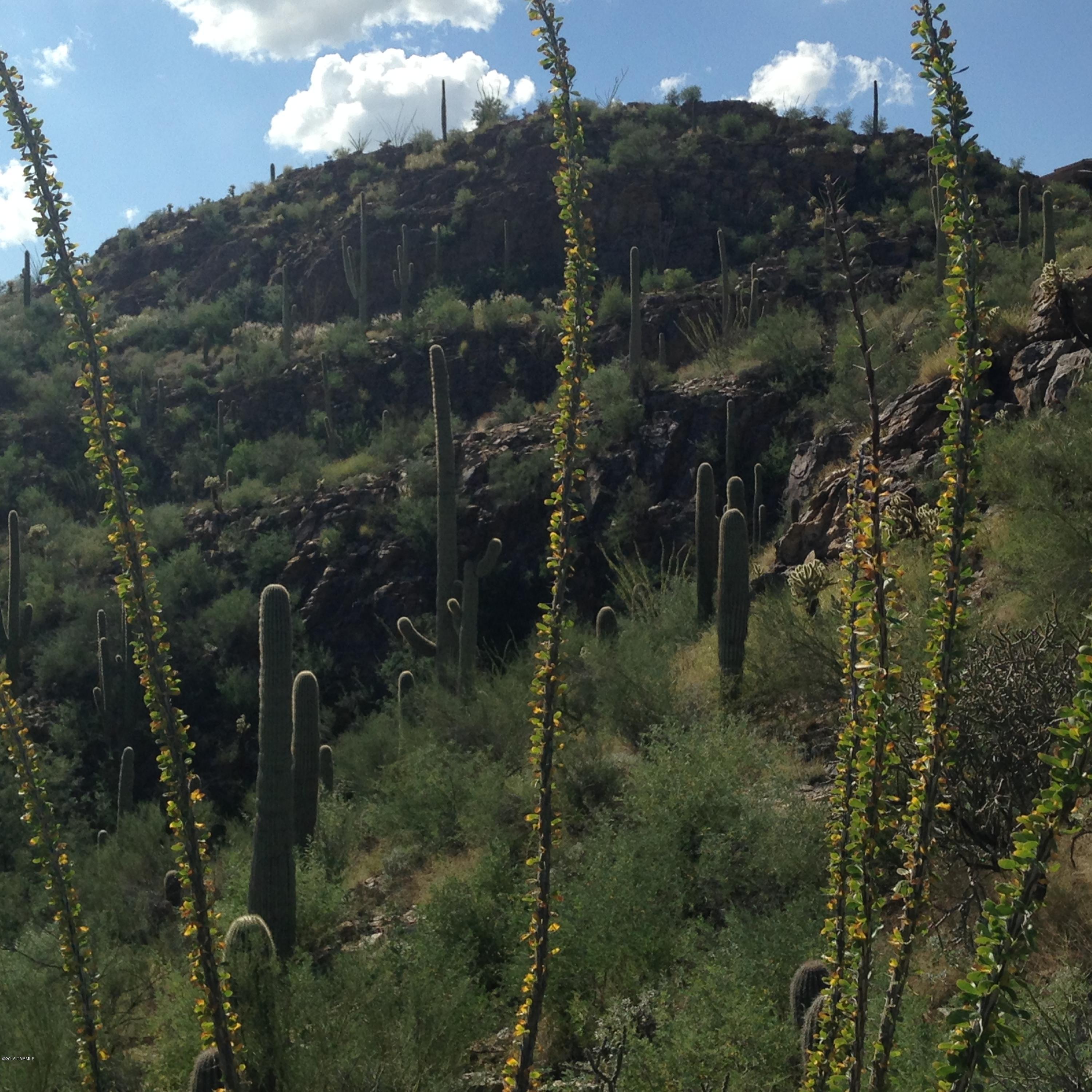 Ventana Canyon Mountain Estate (1-73) - Land