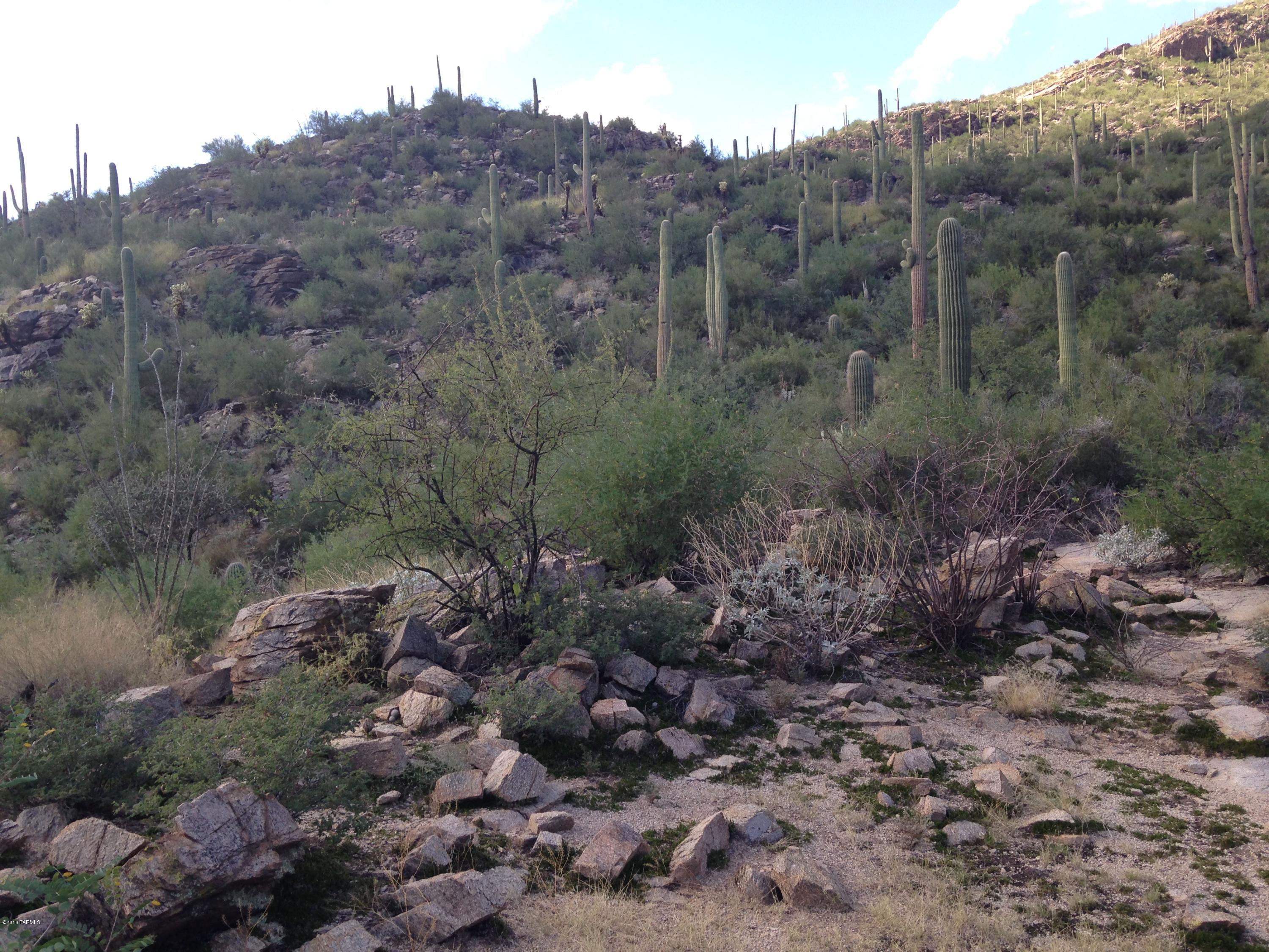 Ventana Canyon Mountain Estate (1-73) - Land