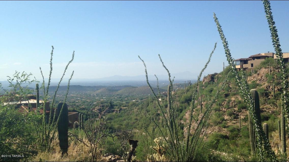 Ventana Canyon Mountain Estate (1-73) - Land