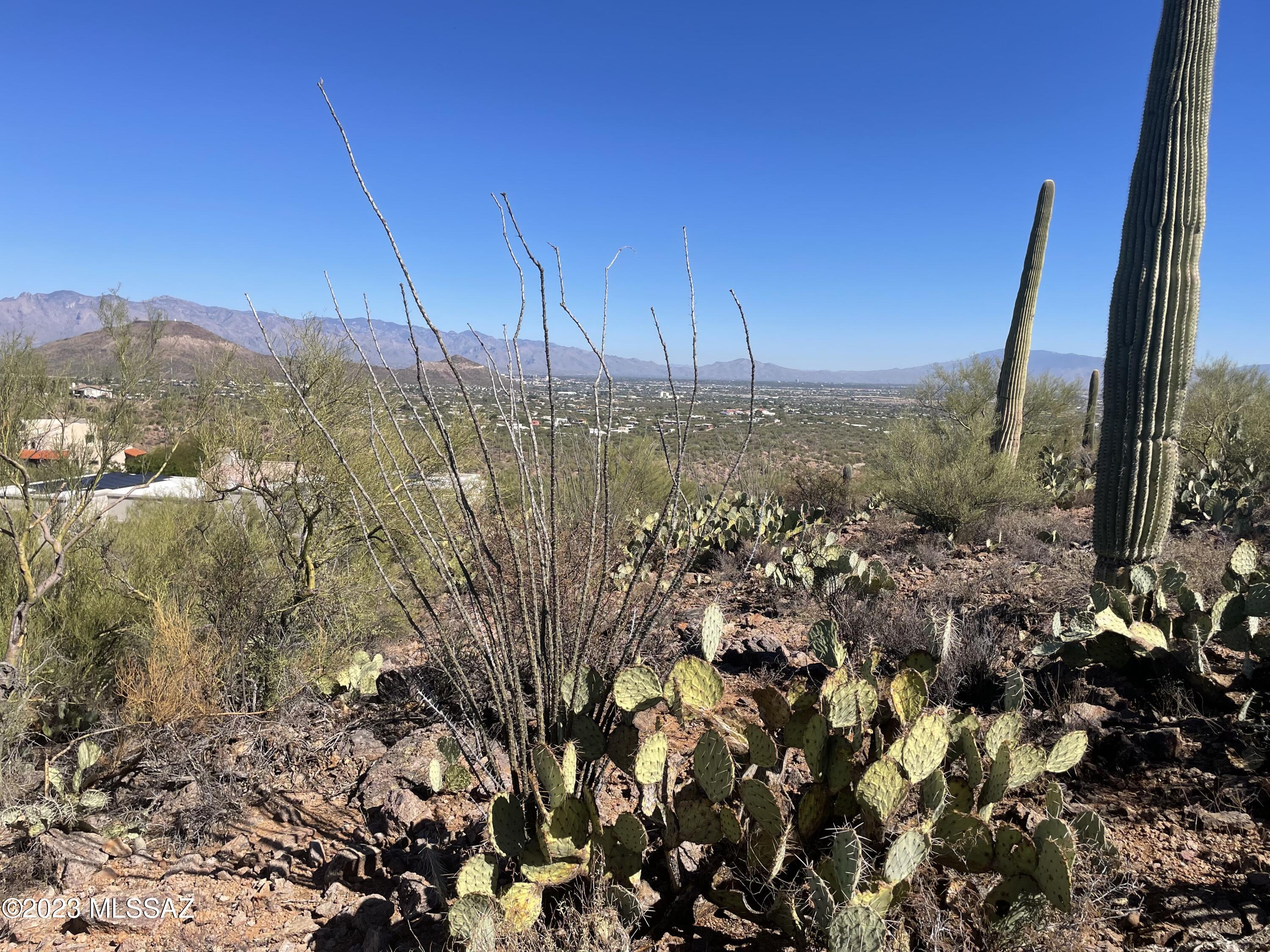 BREATHTAKING VIEWS overlooking the TUCSON VALLEY. This SAGUARO FILLED, 4.28 acres has it all; GREAT PRICE of $159,000, TUCSON WATER and TEP, and a combination of flat and gently sloped land for single or split-level home designs. And as a bonus, parcel backs to TUCSON MTN PARK and UNDISTURBED VISTAS into thousands of acres of PRISTINE DESERT. You'll love HIKING or BIKING into NATURE'S BEAUTY from your door! NO HOA and very limited CC&Rs, add to it's appeal. You'll also enjoy the PEACEFUL QUIET of this setting. This is a rare find at the south end of the TUCSON MOUNTAINS and is only minutes from DOWNTOWN TUCSON, U of A, ST. MARY'S HOSTIPAL and I-10. Drive out, walk it and BE AMAZED! Adjacent house is not the seller for this lot, please stay off their property.