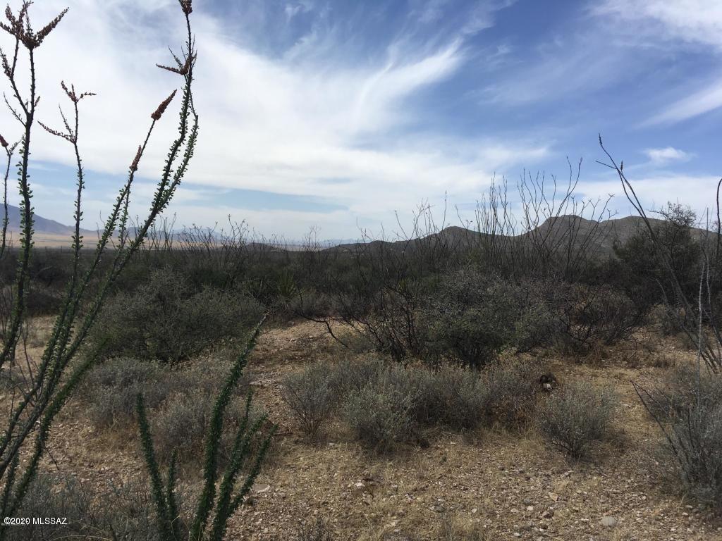 Out Of Pima County - Land