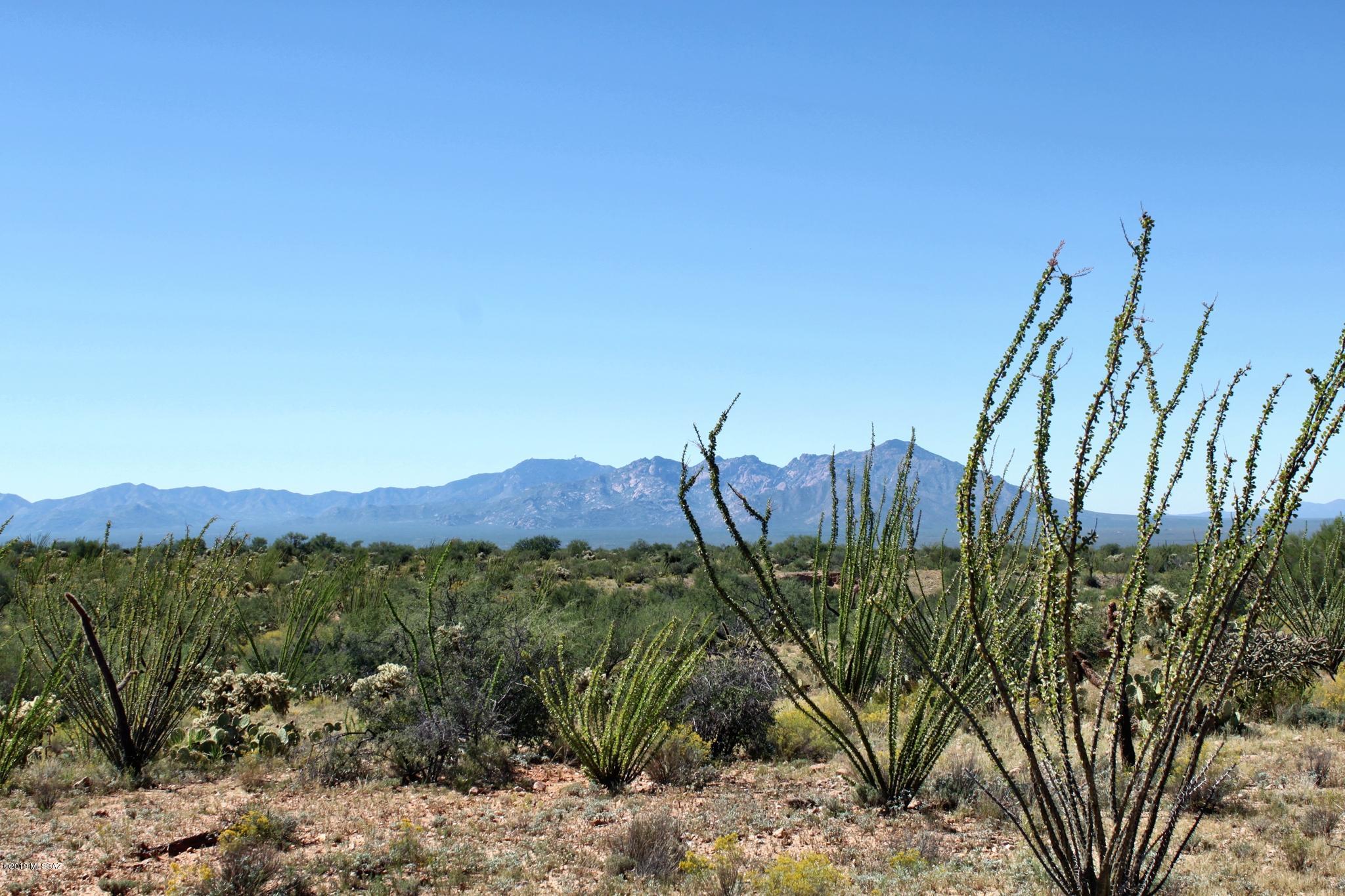 Diamond Bell Ranch - Tucson Unit 6 (1-435) - Land