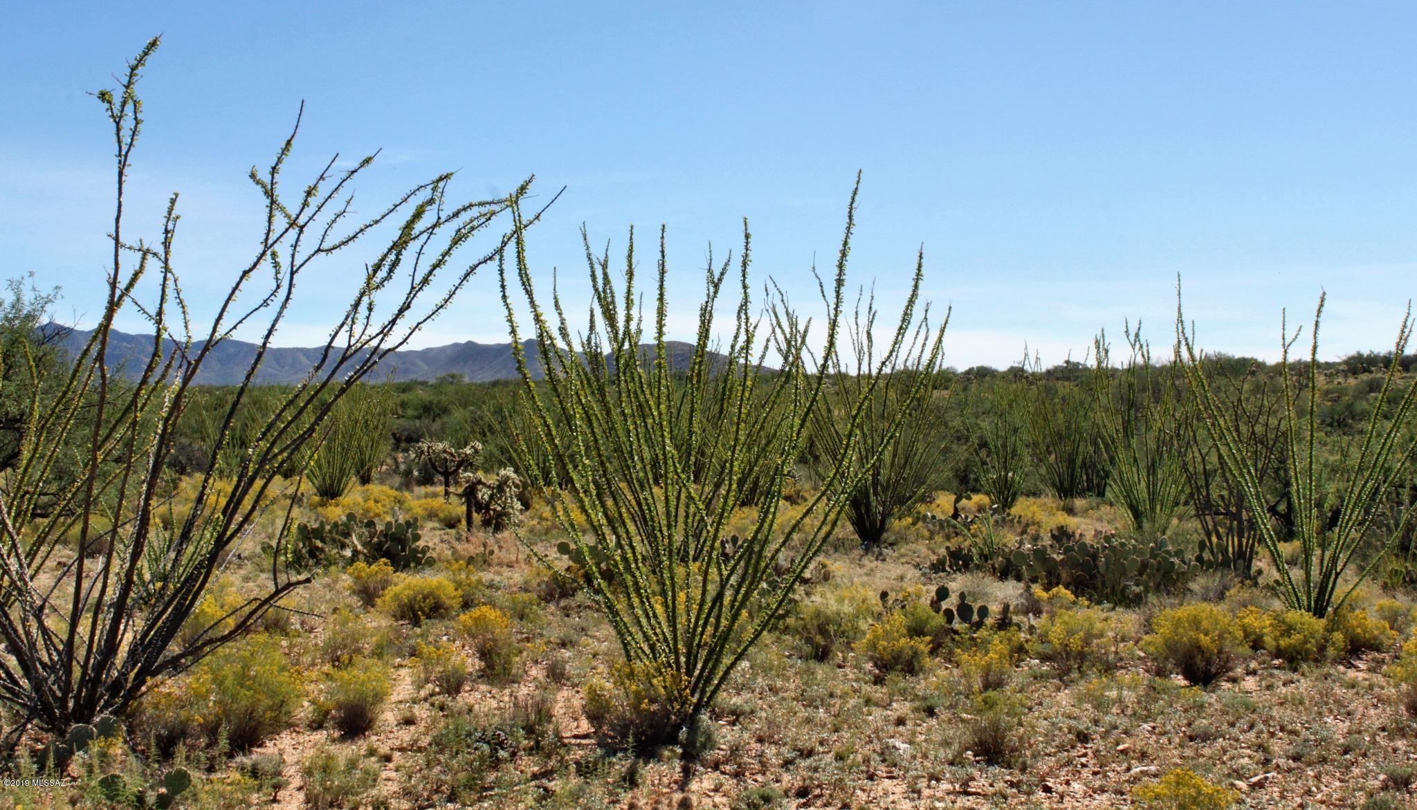 Diamond Bell Ranch - Tucson Unit 6 (1-435) - Land