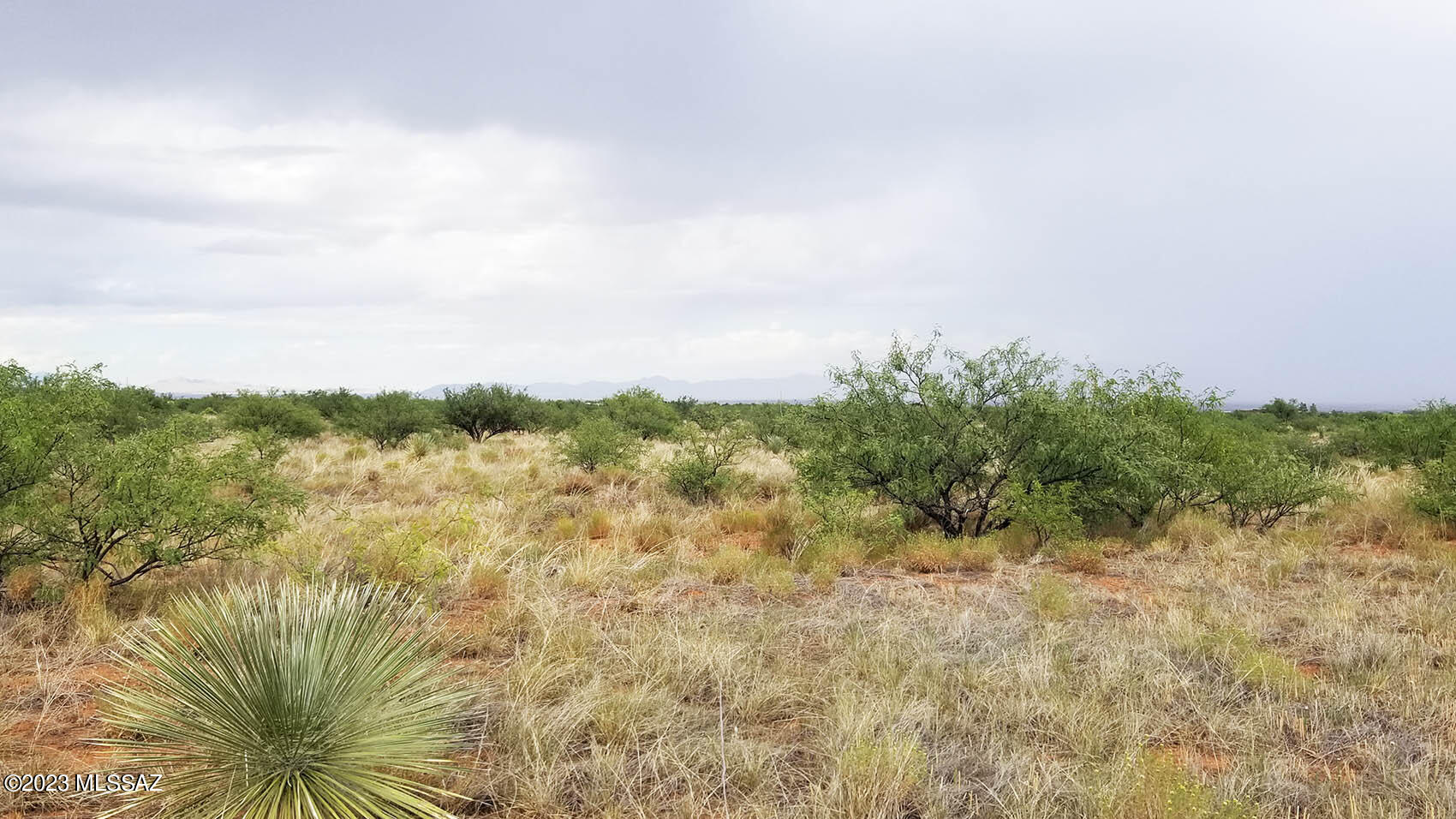 Arizona Sun Sites - Land