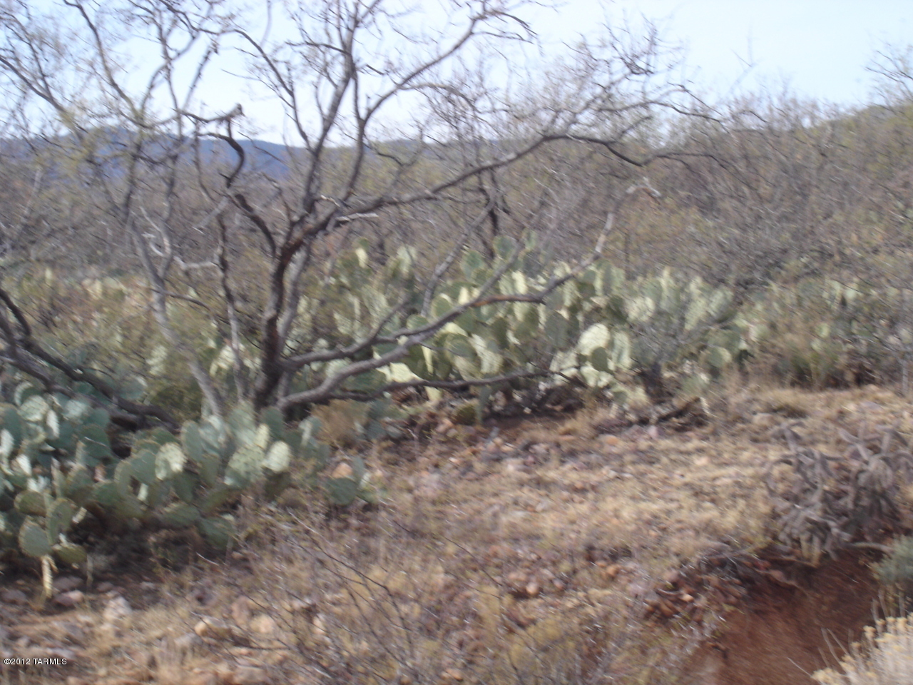 Great 2.20 acre parcel with 1/5th shared well and electricity at the well. Septic will be required. Plenty of room for horses, corrals and barns. Bring your toys as the great ouitdoors will call you.Build a custom home, manufactured home or place a mobile home. Great climate for all outdoors. 4 contiguous lots can be purchased together.
