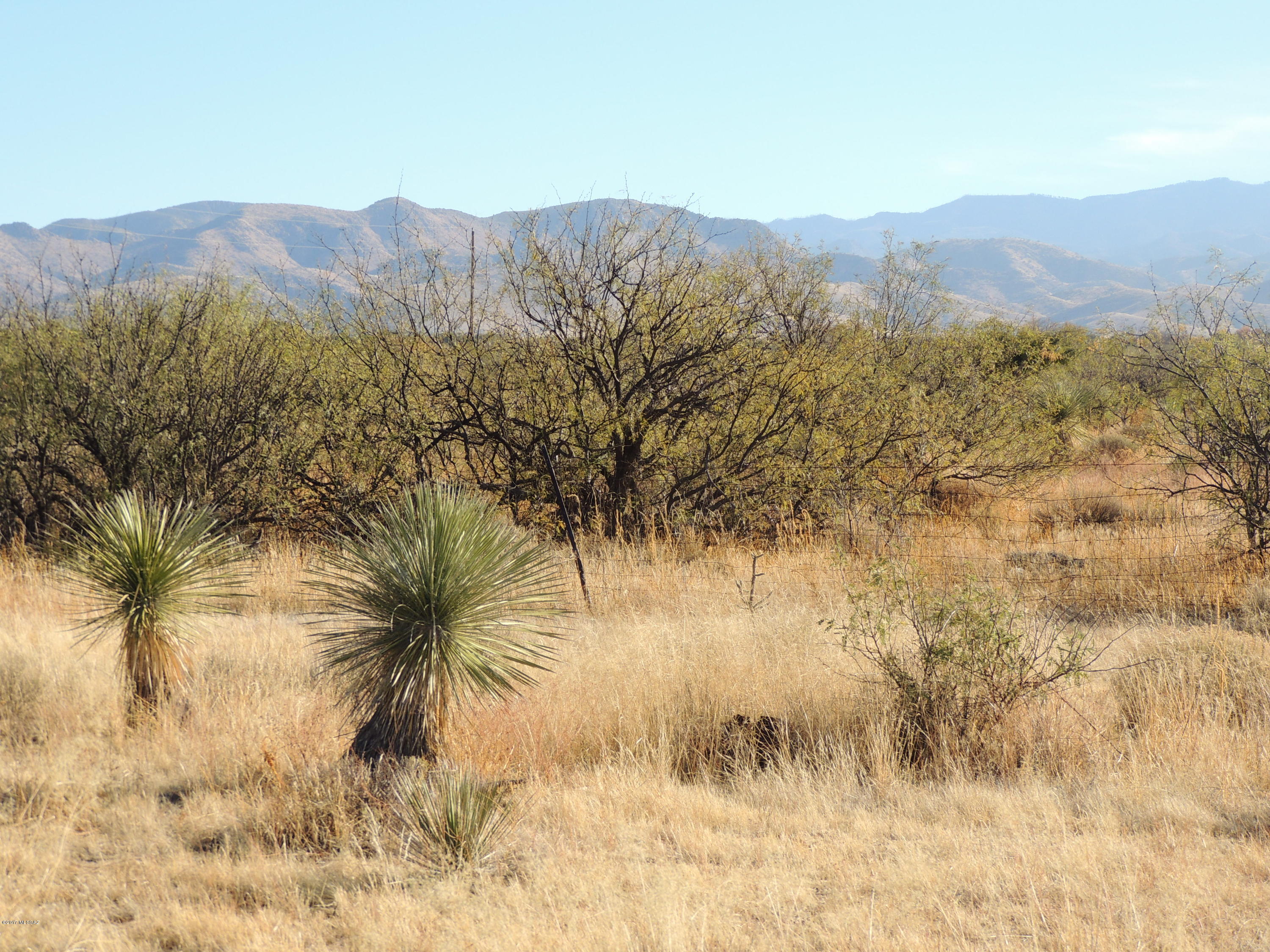 Out Of Pima County - Land